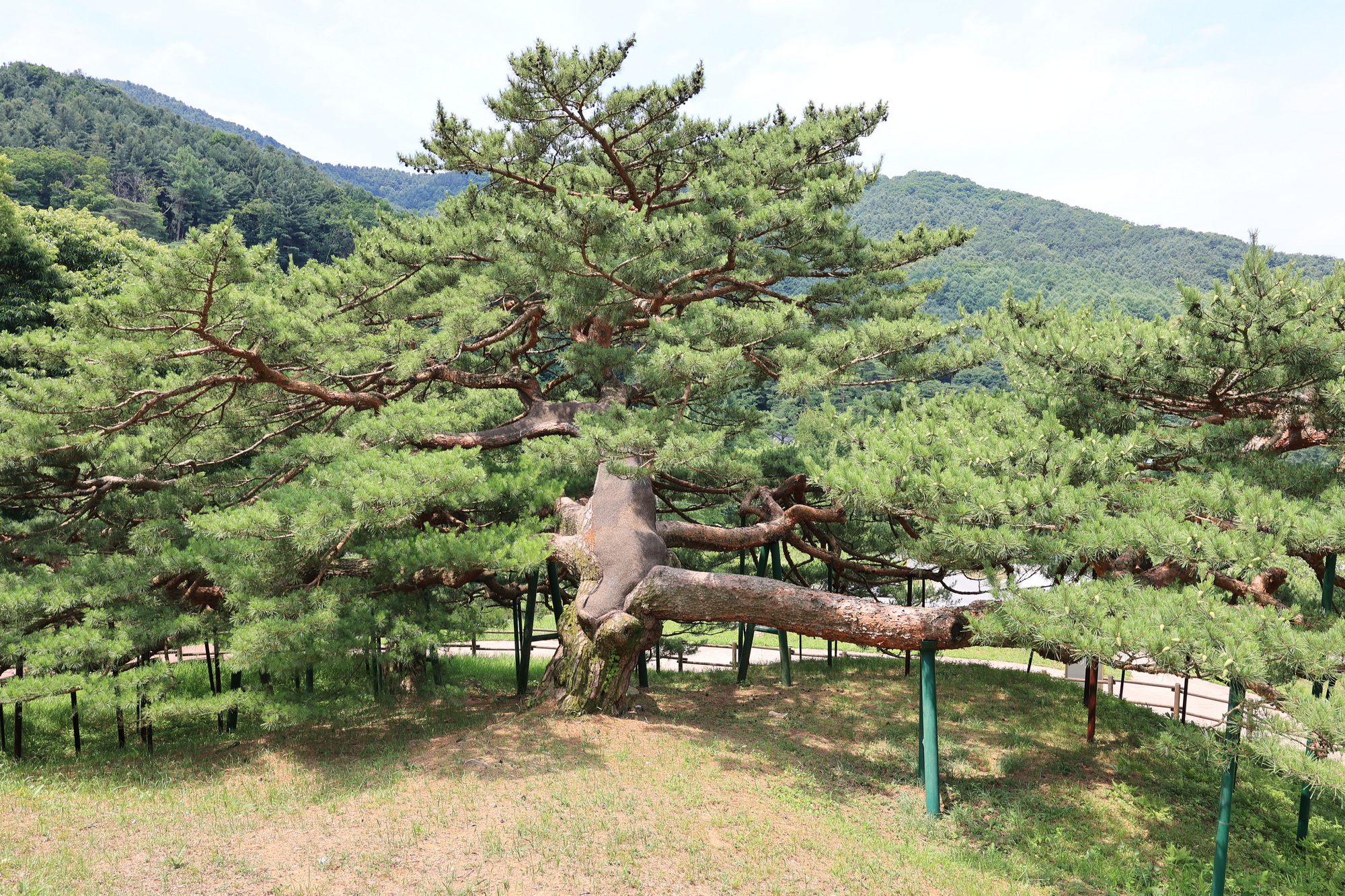 스푼 글램핑 카라반 이미지