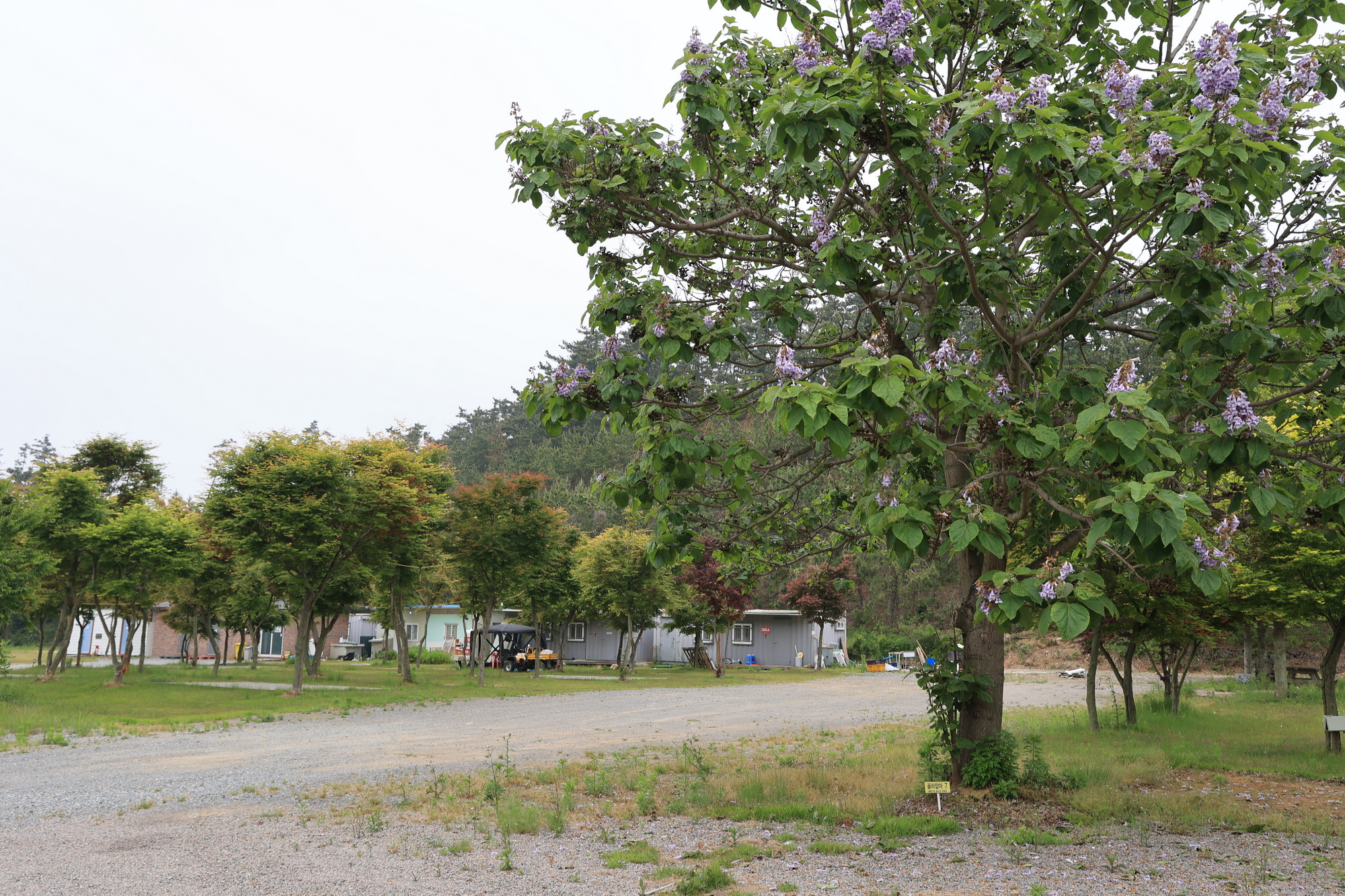 솔향기길야영장 이미지