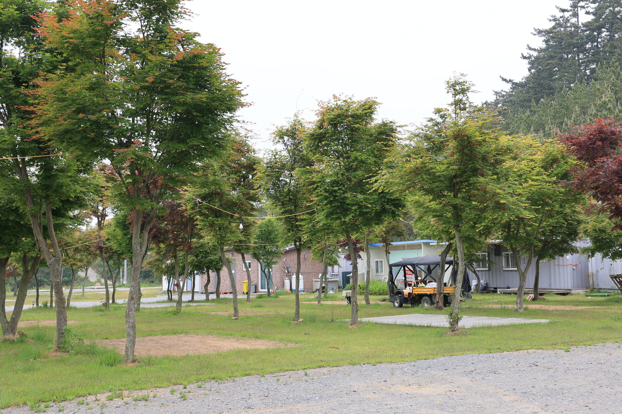 솔향기길야영장 이미지