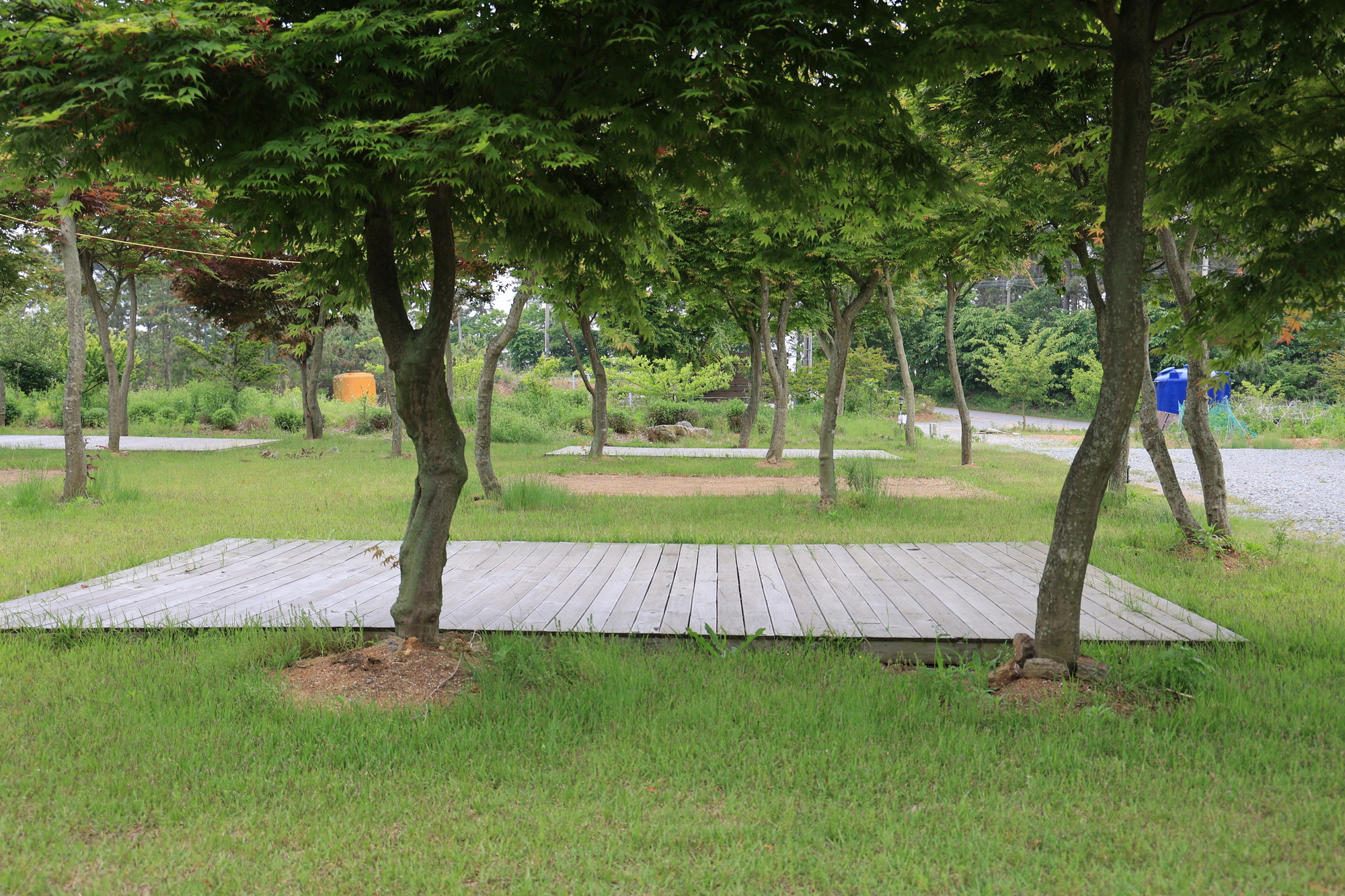 솔향기길야영장 이미지