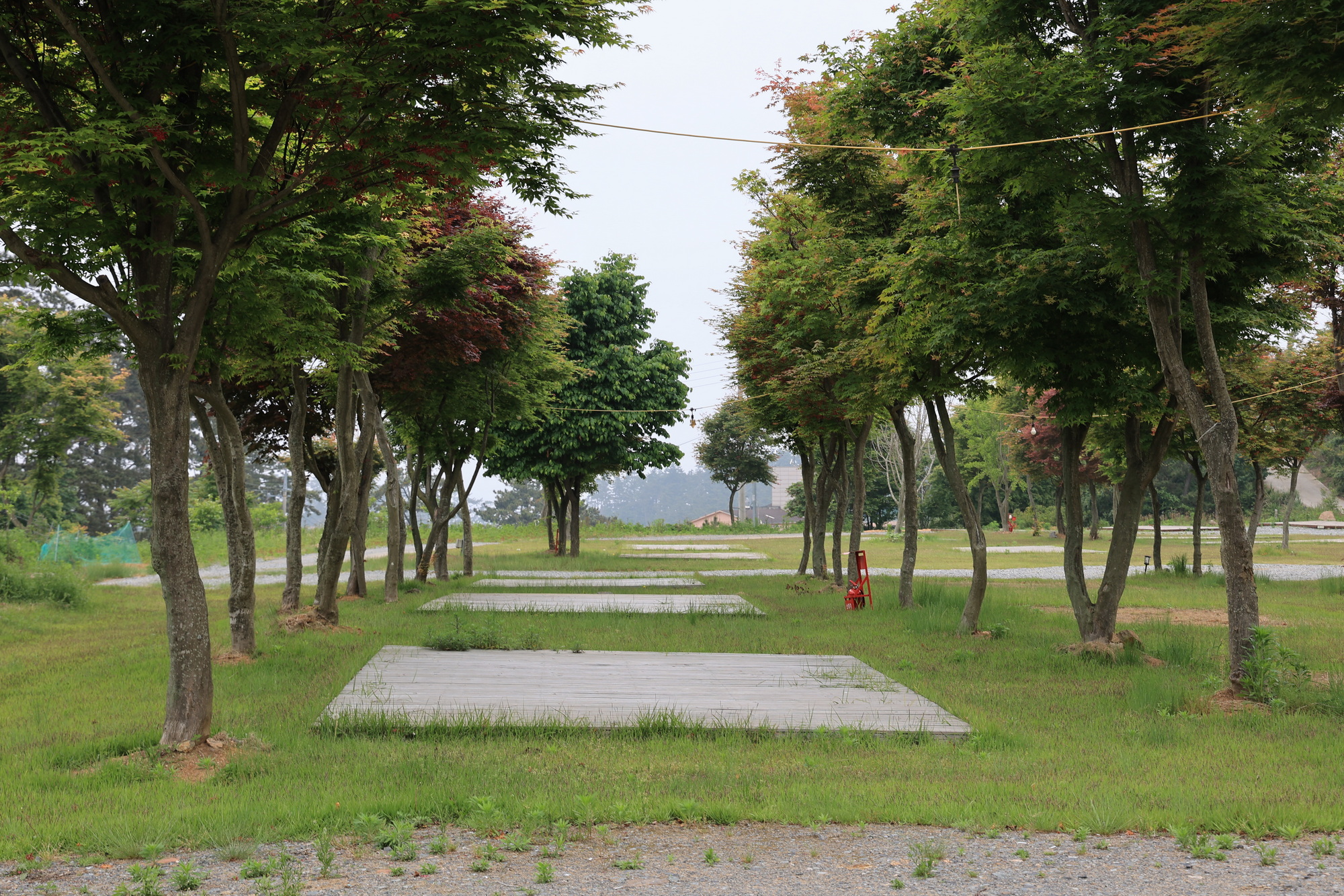 솔향기길야영장 이미지