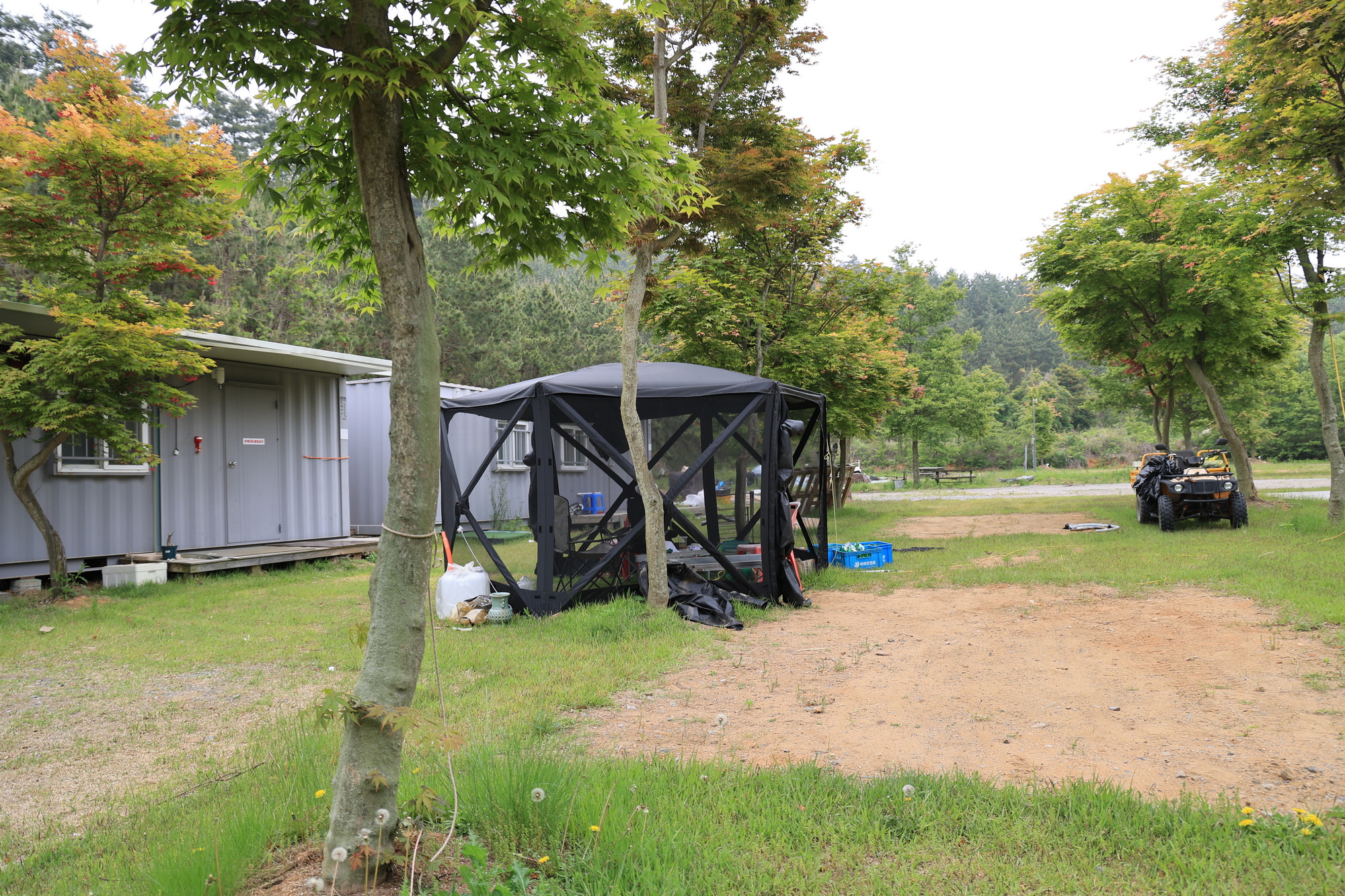 솔향기길야영장 이미지