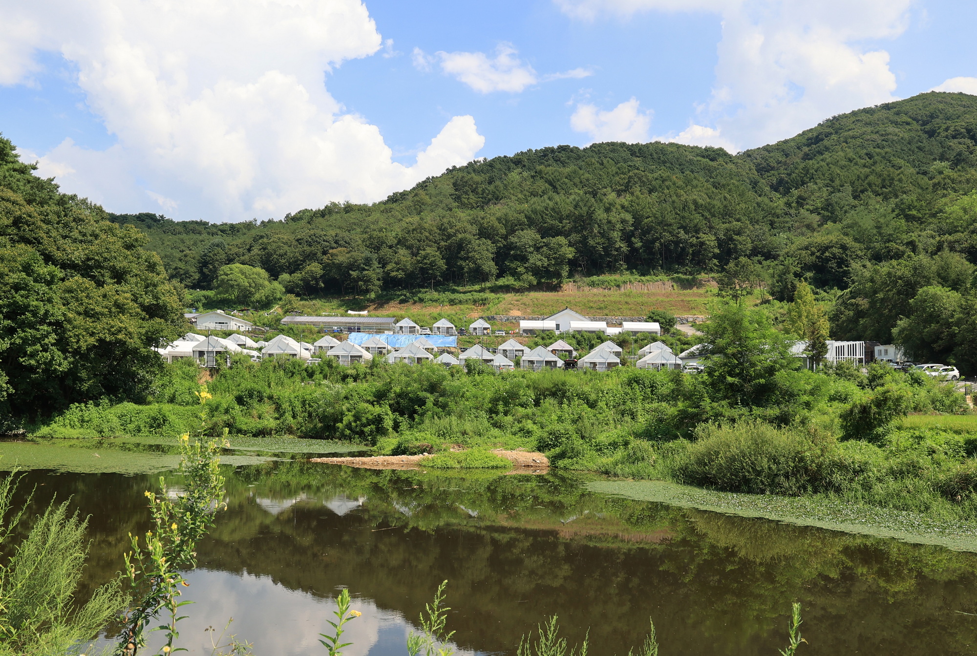 캠프다온 이미지