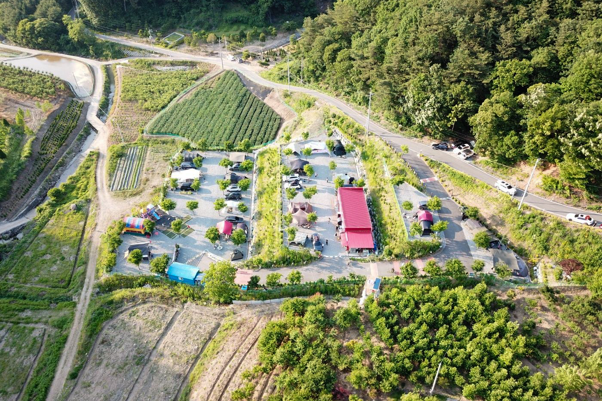 요새불멍 이미지