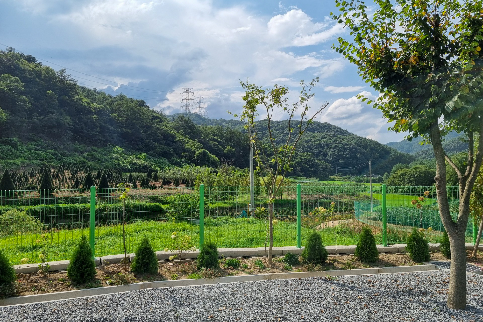 천안 요새불멍 6