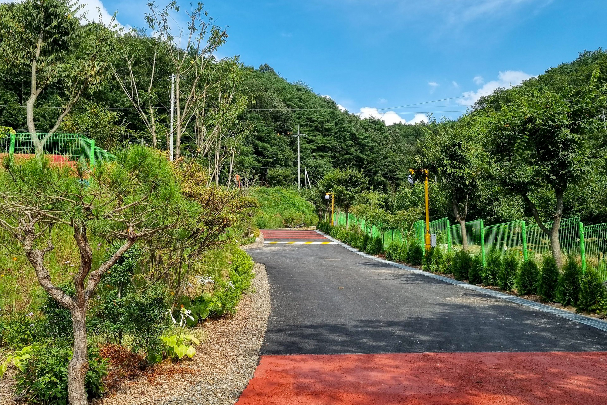 요새불멍 이미지