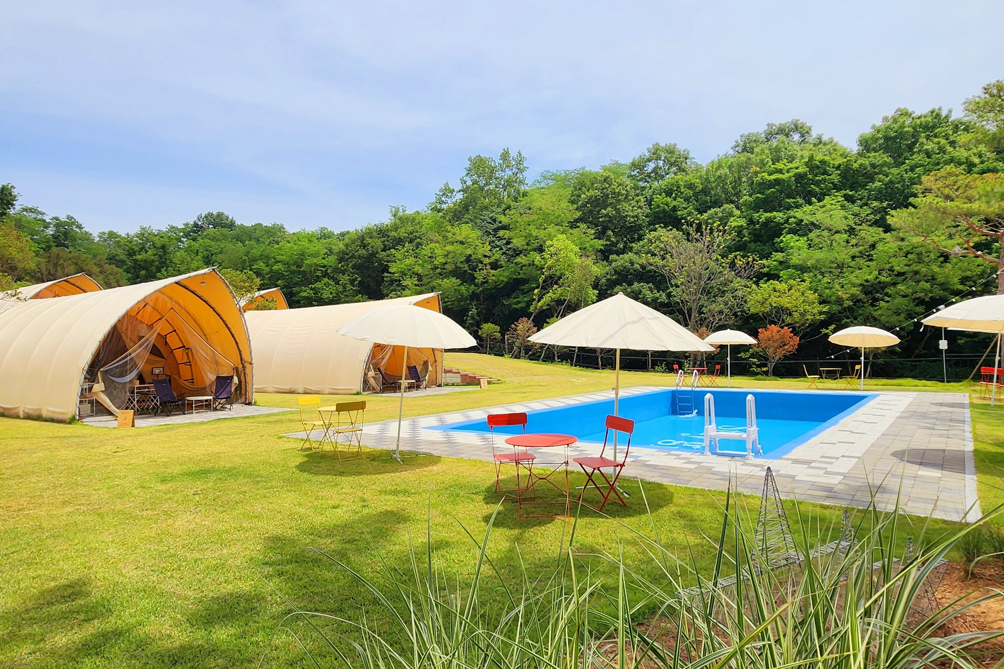 스테이 그린 이미지