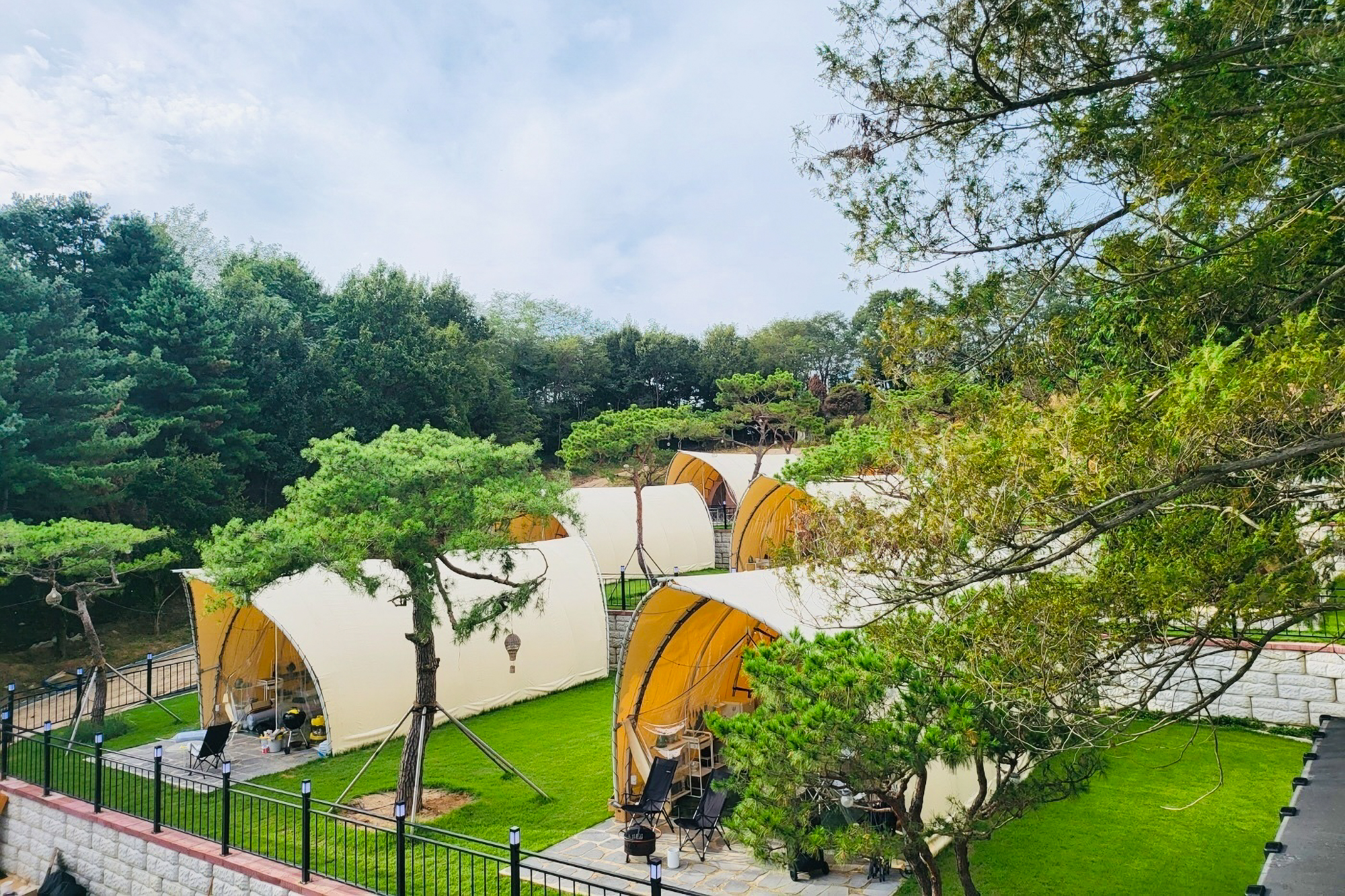 스테이 그린 이미지