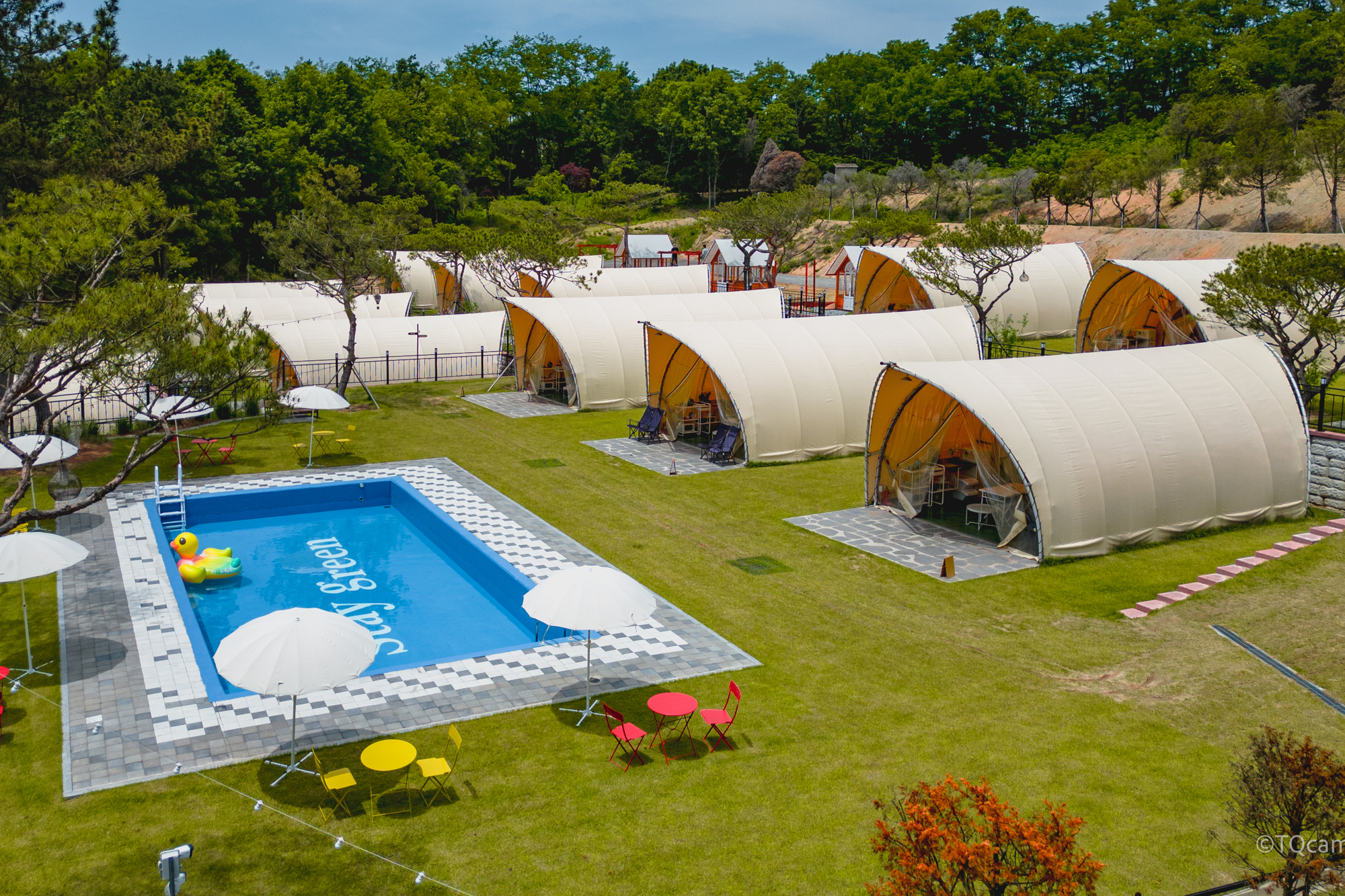 스테이 그린 이미지