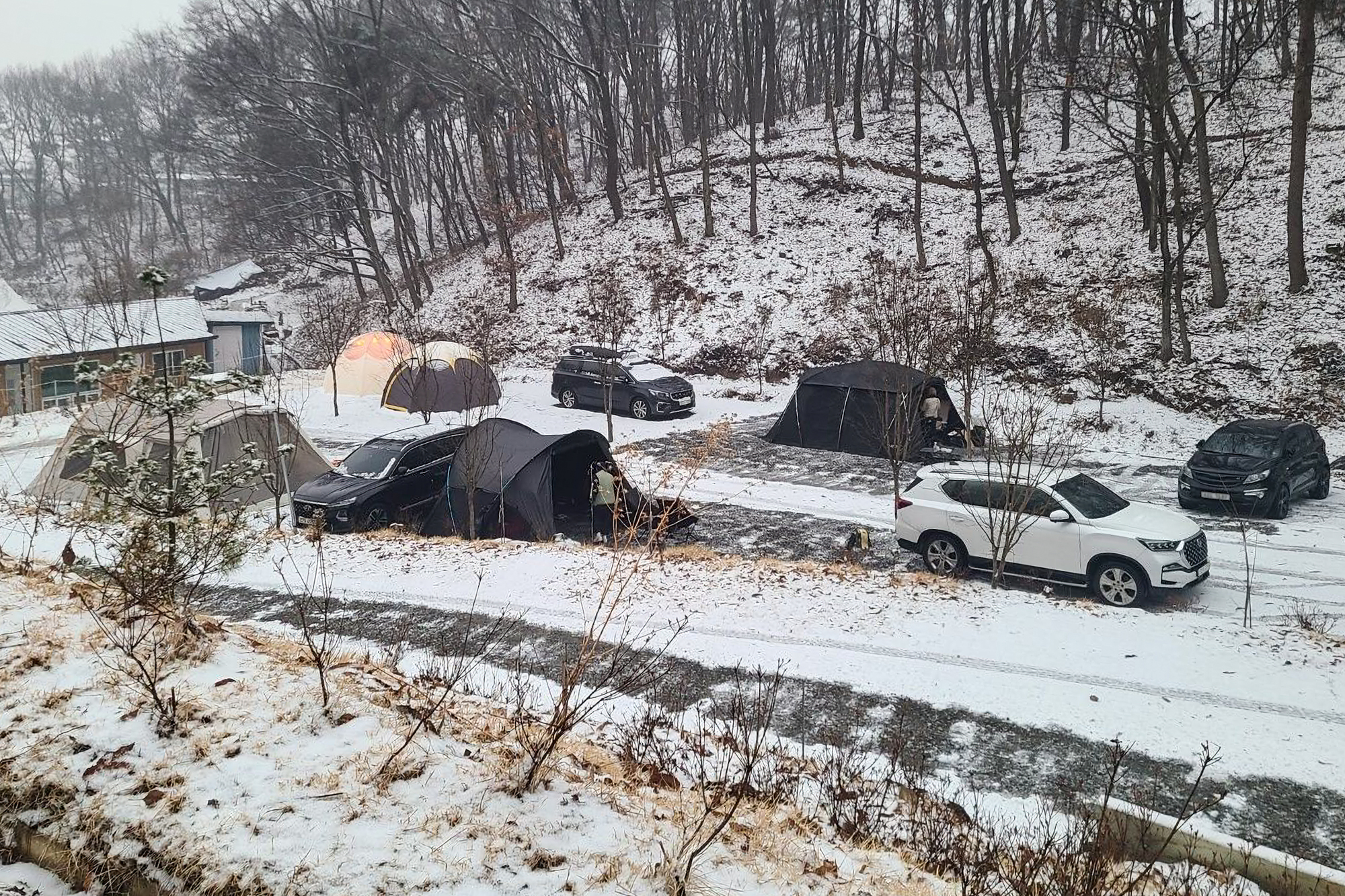 더 봄날 캠핑장 이미지