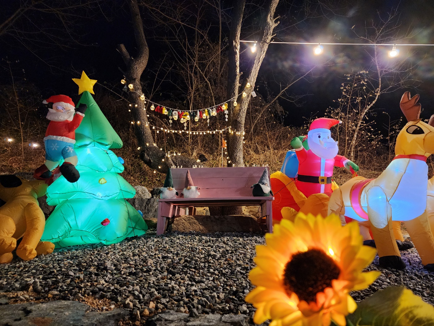 DS Camp 캠핑장 이미지