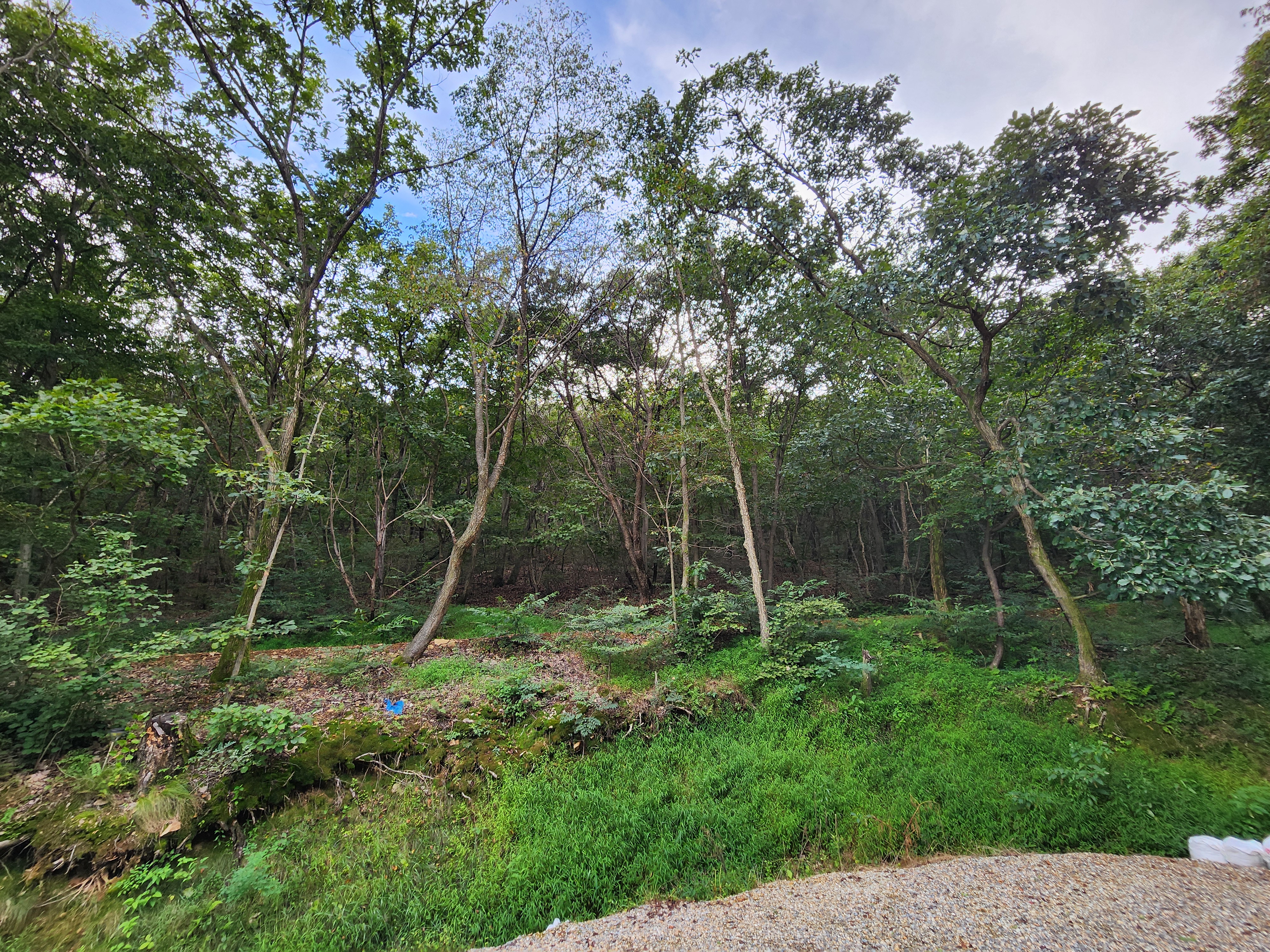 파주 옥돌캠핑장 11번째 이미지