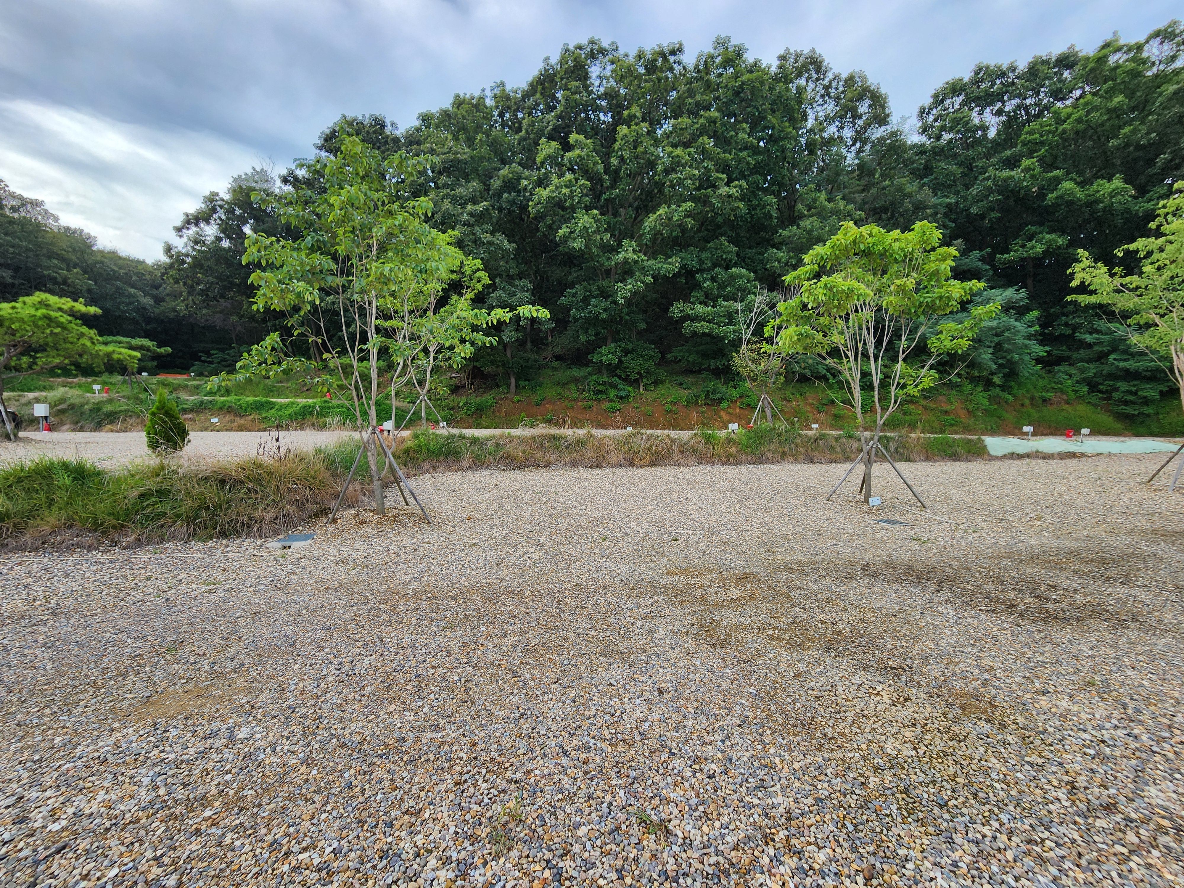 파주 옥돌캠핑장 6번째 이미지