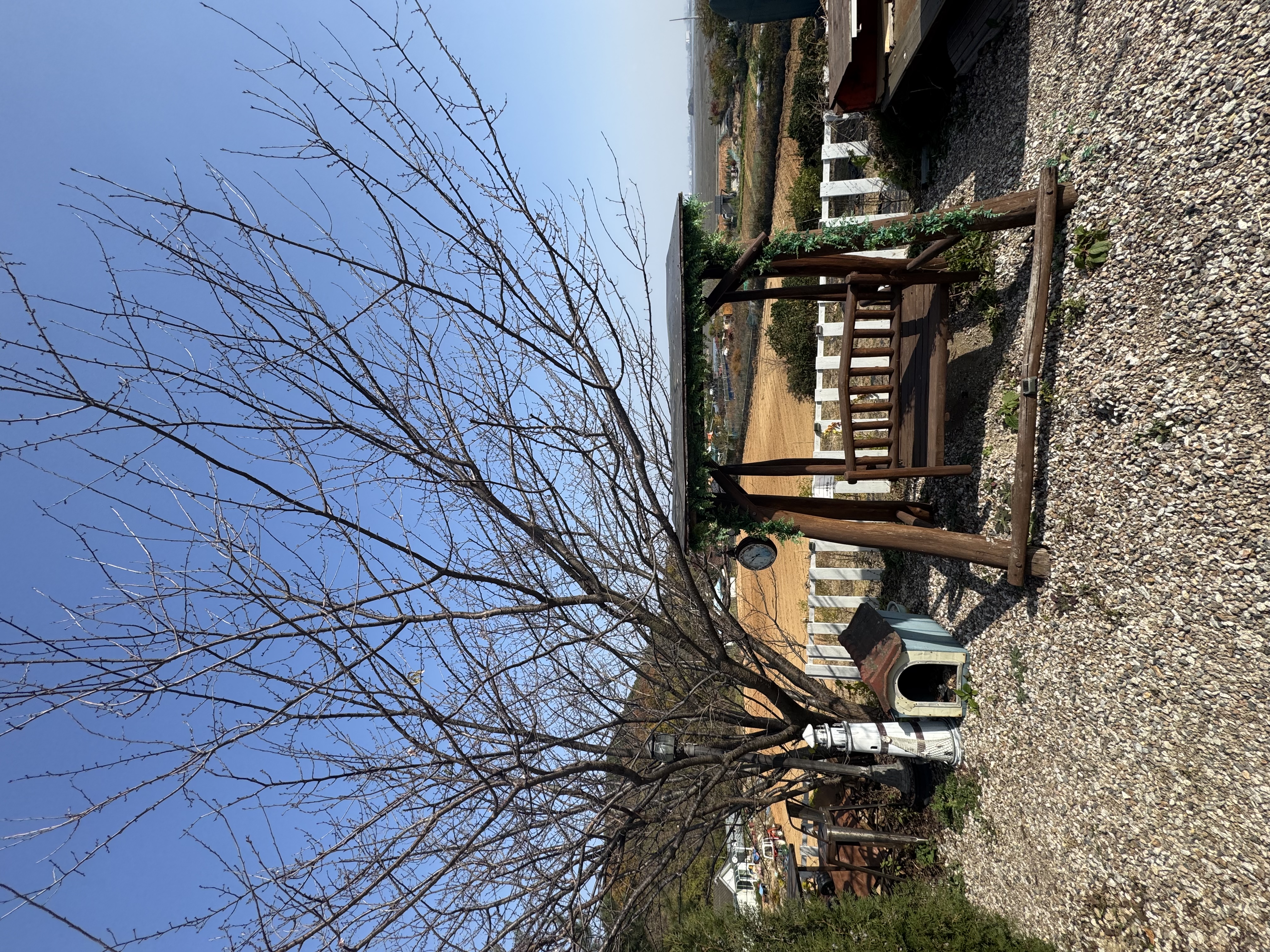 규니네 캠핑 18번째 이미지