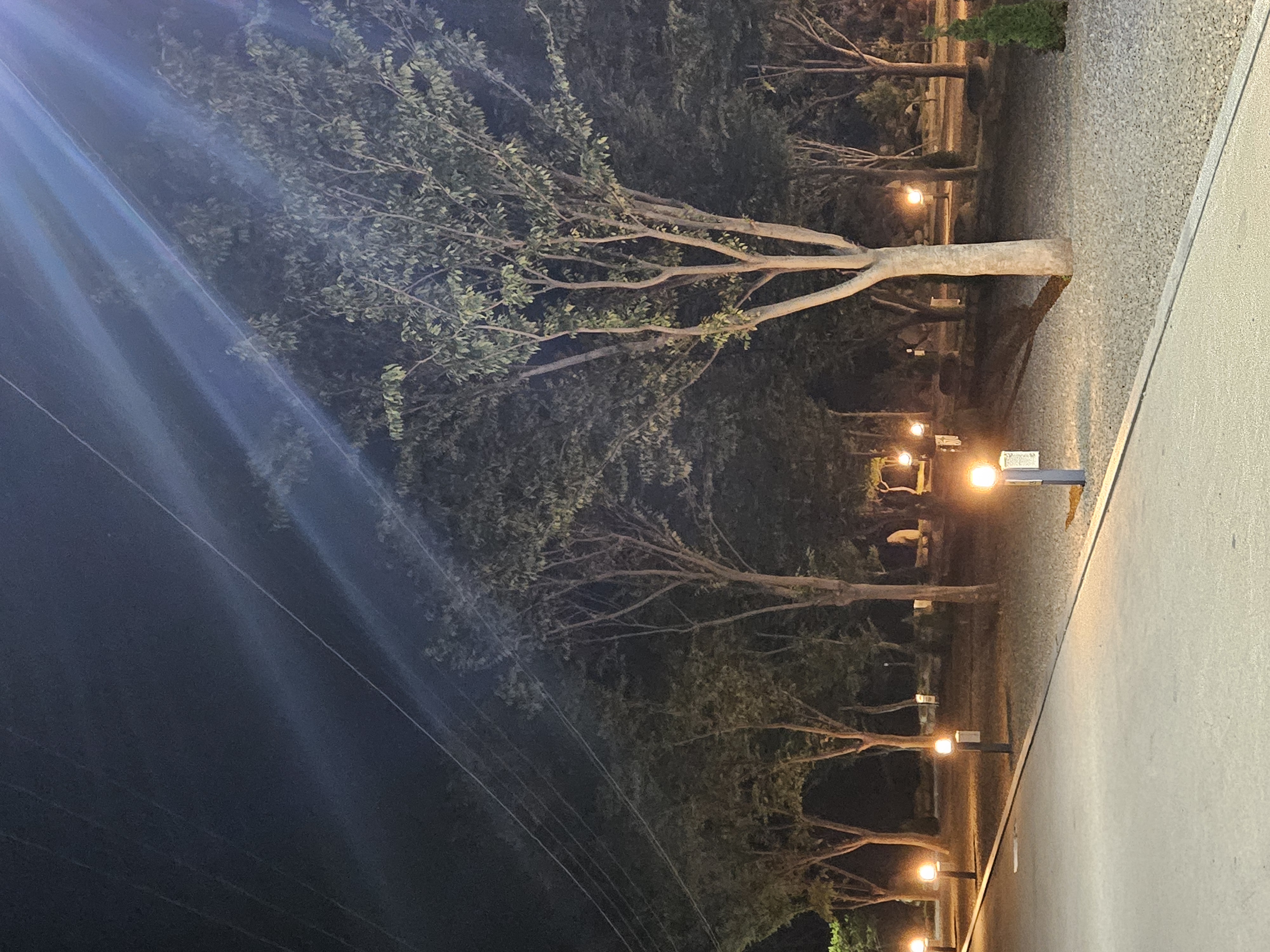 산청 지리산반달캠핑장 32번째 이미지