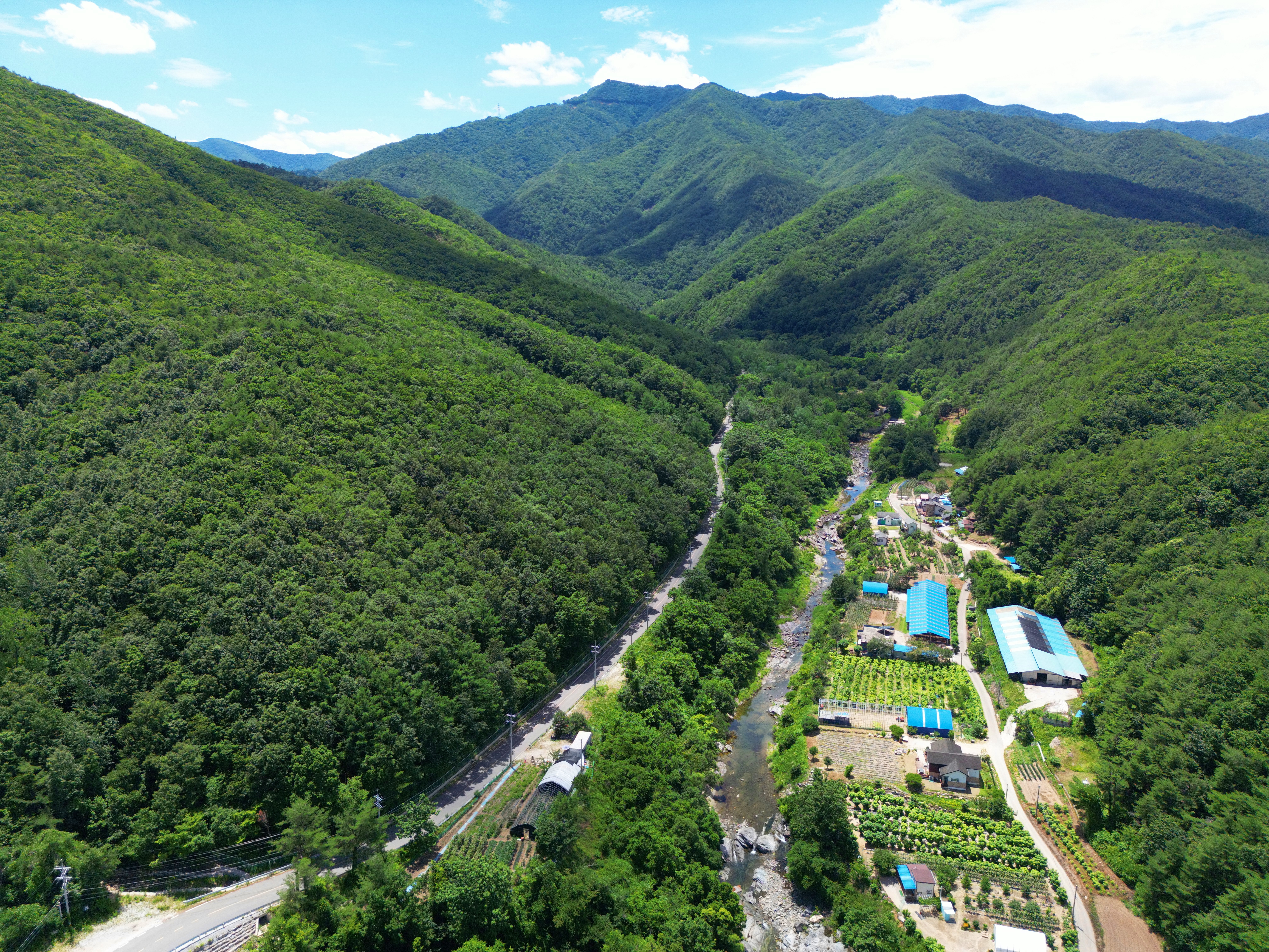 하슬라 캠핑장 이미지