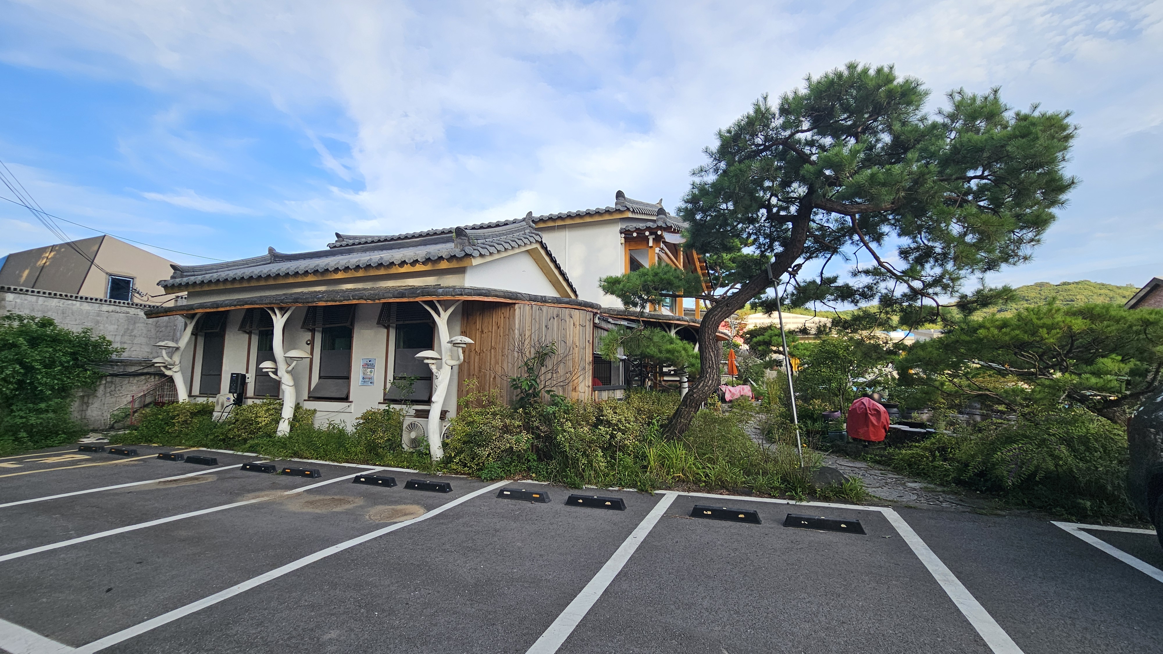 테라피크닉 19번째 이미지