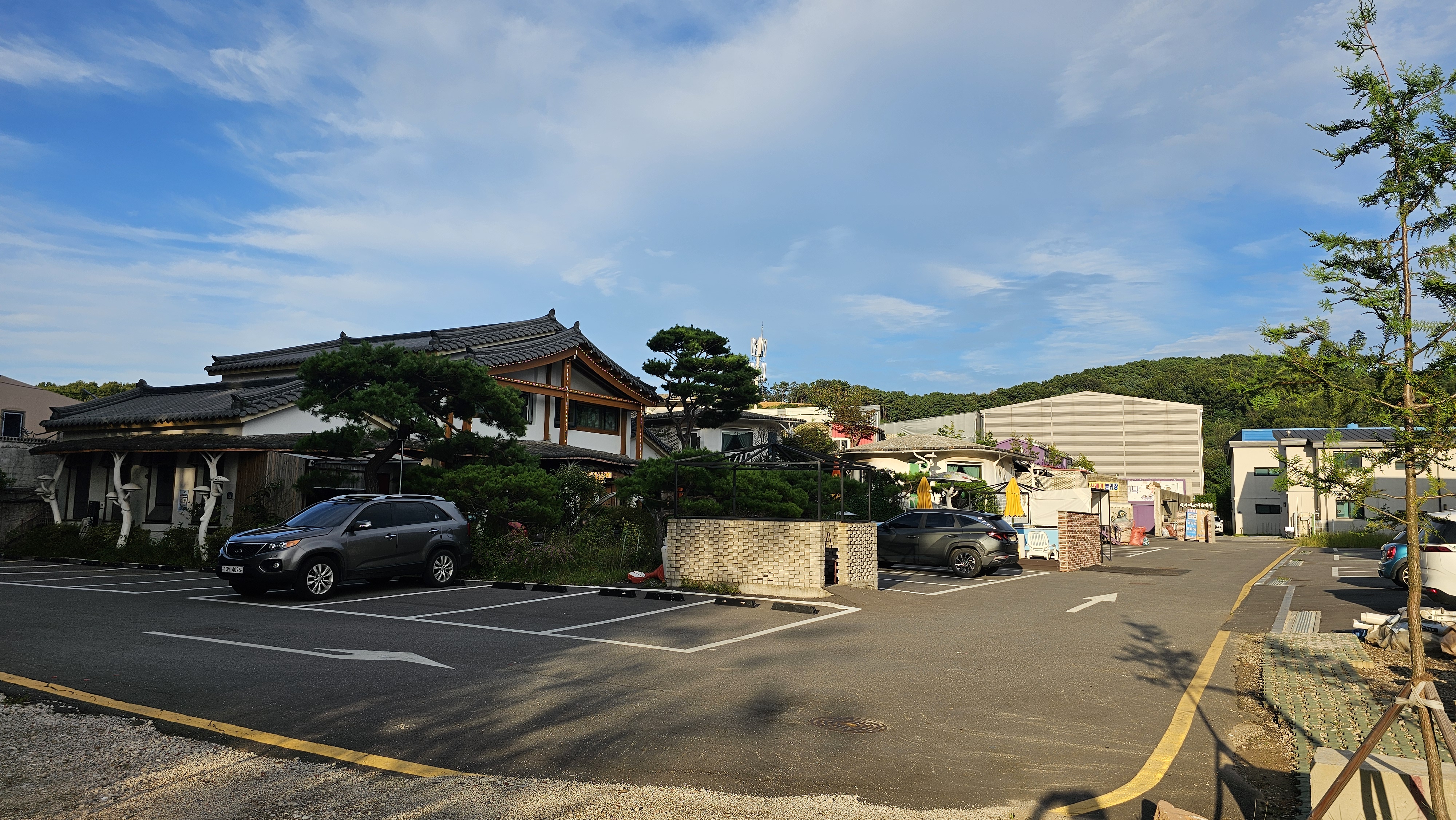 테라피크닉 18번째 이미지