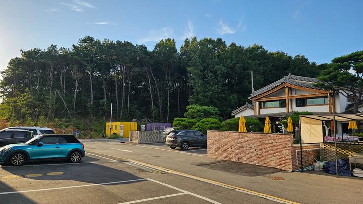 테라피크닉 대표 이미지