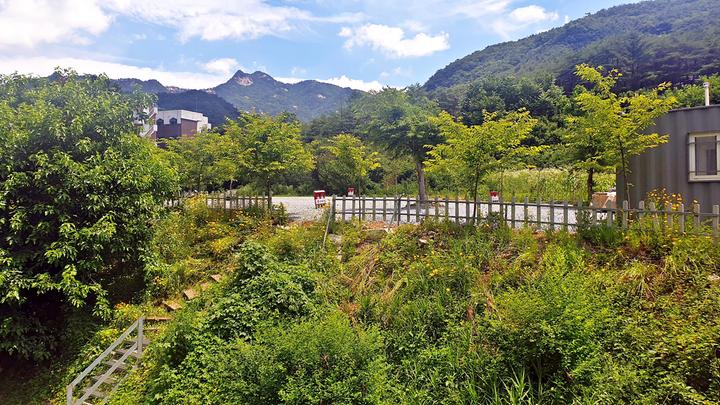 충청  SOL Camping 1