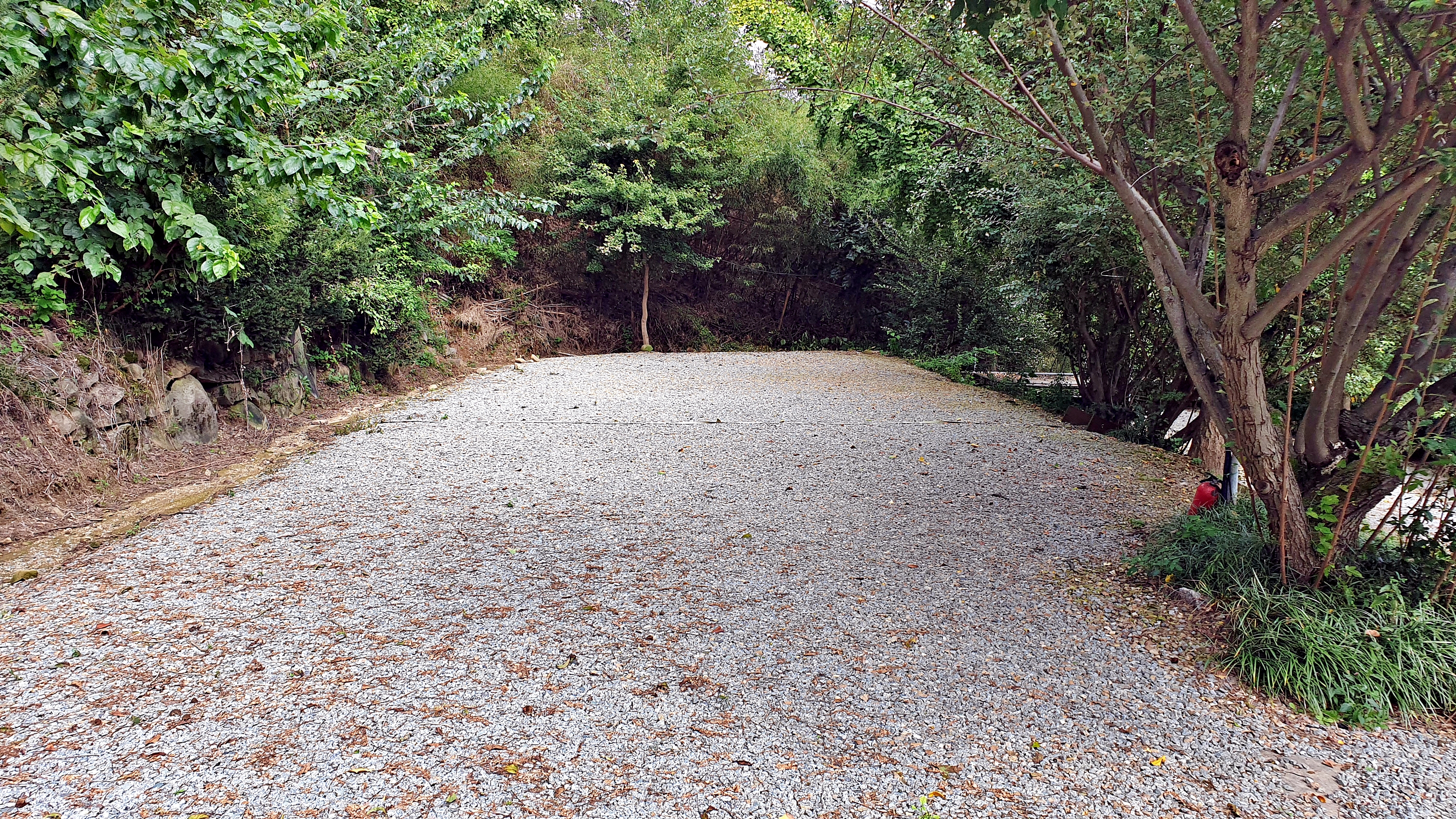 일월관광농원 캠핑장 이미지