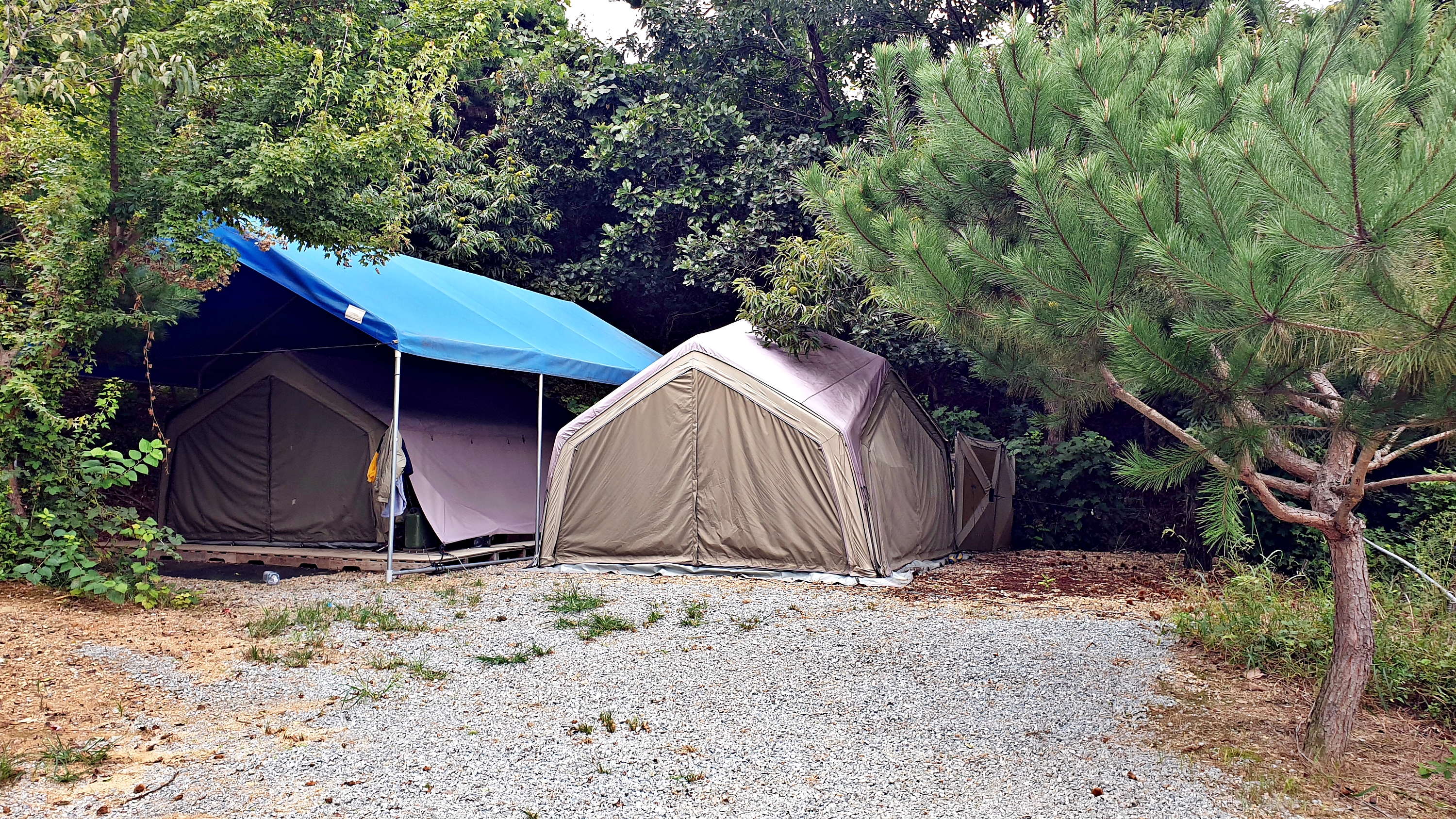 일월관광농원 캠핑장 이미지