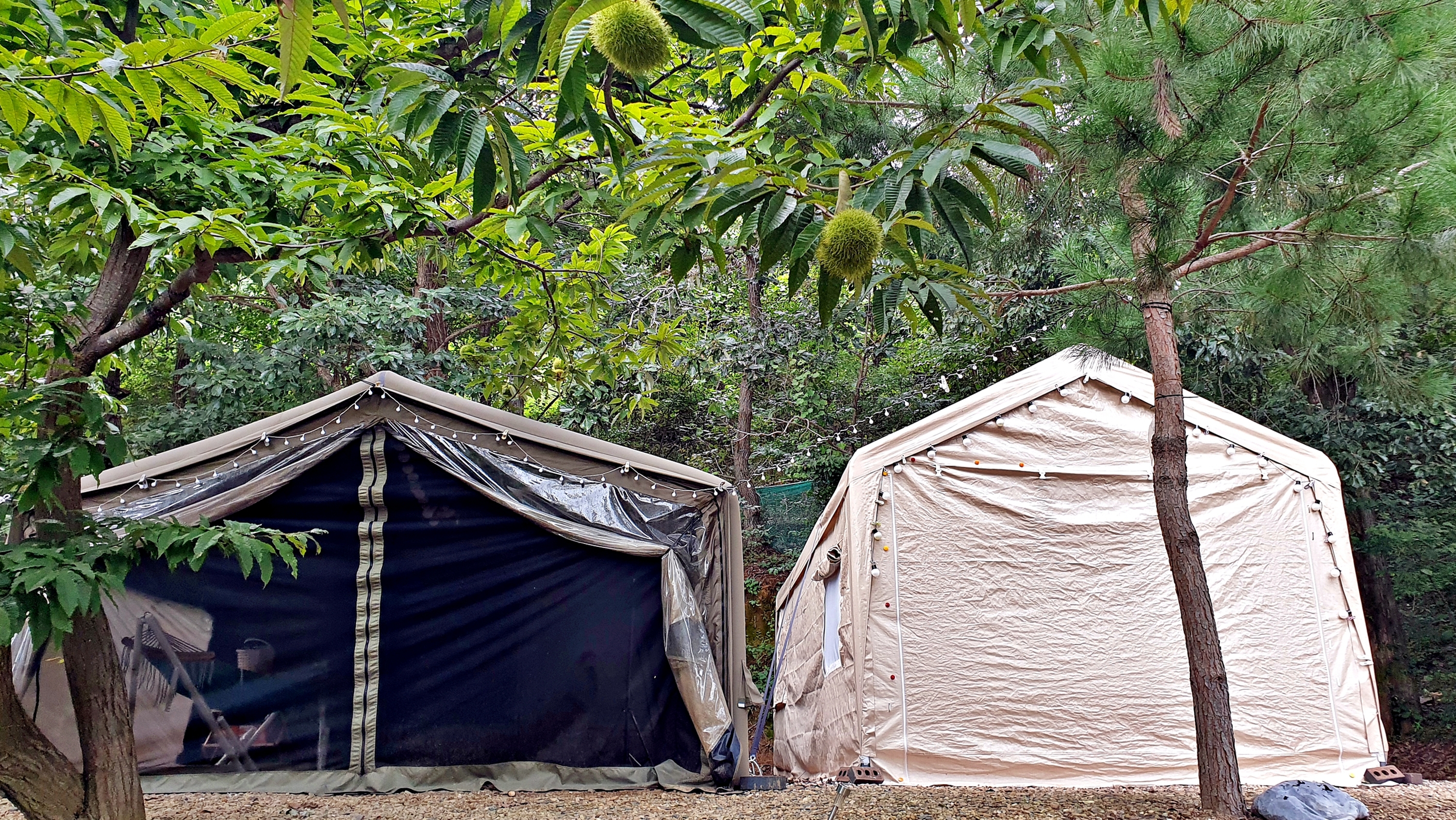 일월관광농원 캠핑장 이미지