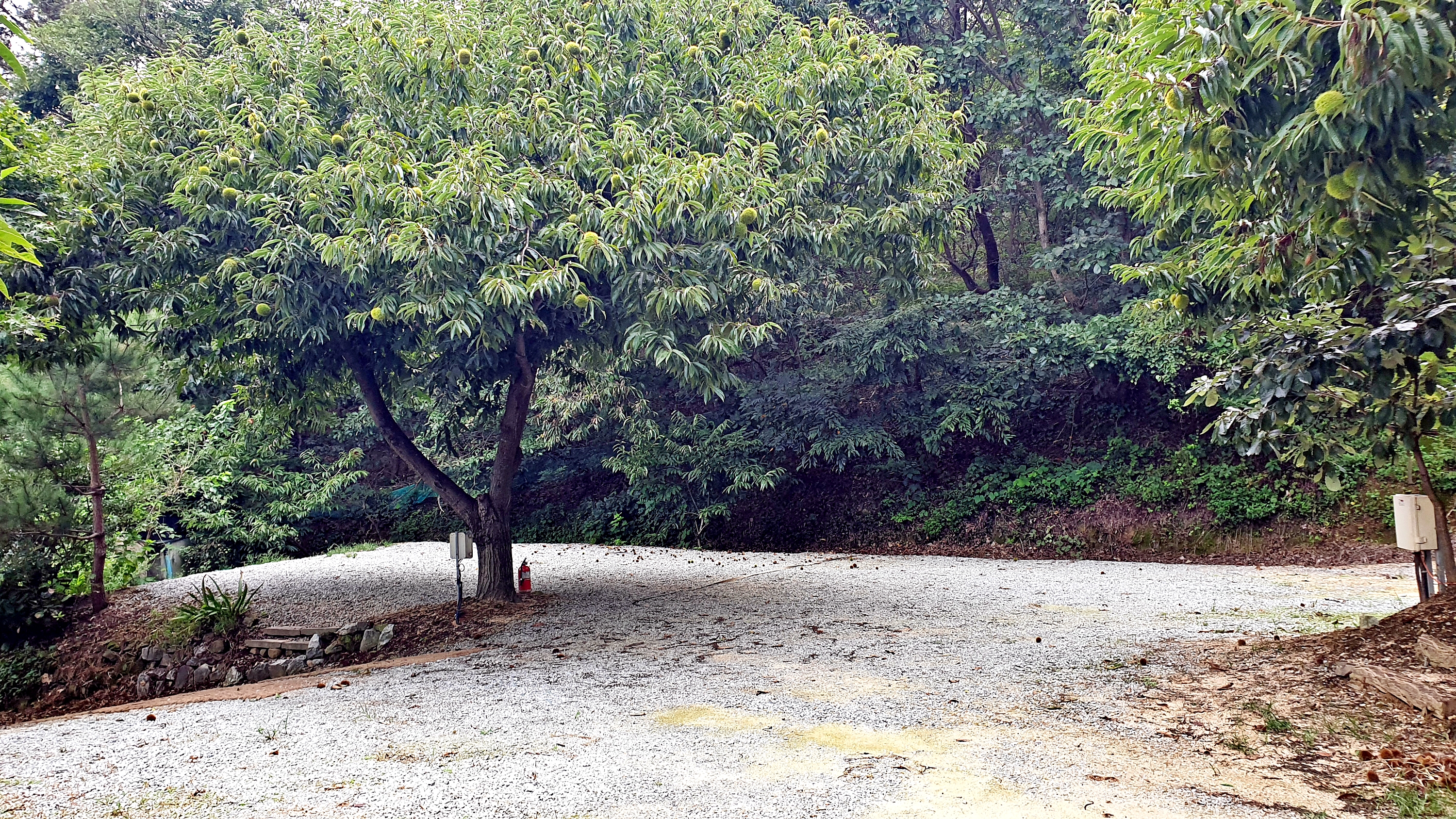 일월관광농원 캠핑장 이미지