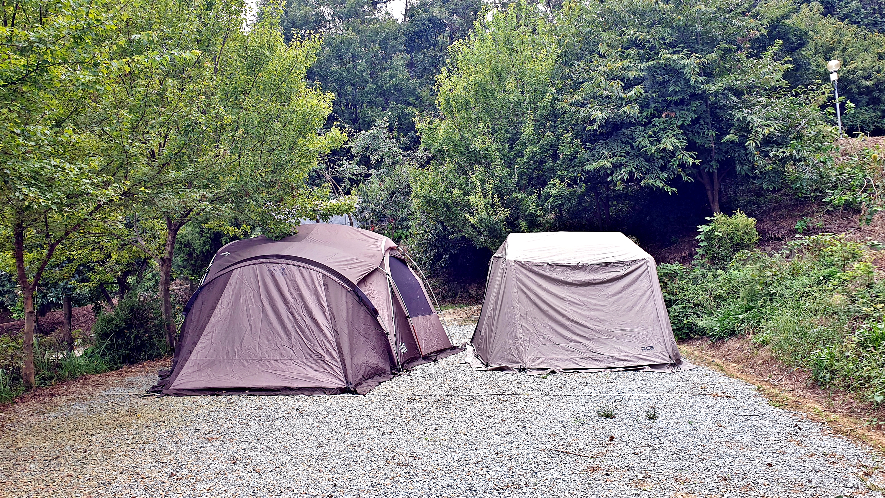 일월관광농원 캠핑장 이미지