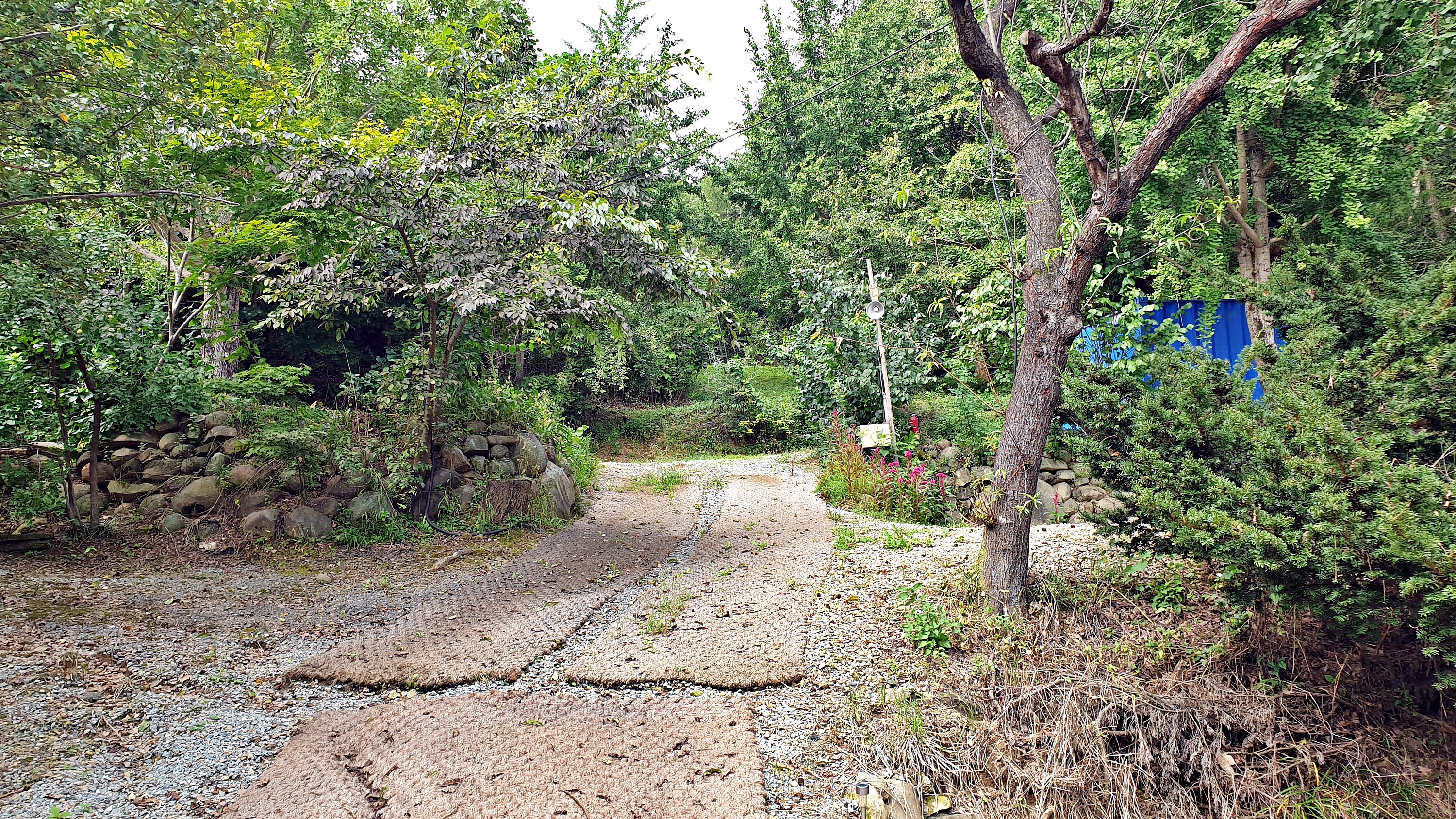 일월관광농원 캠핑장 이미지