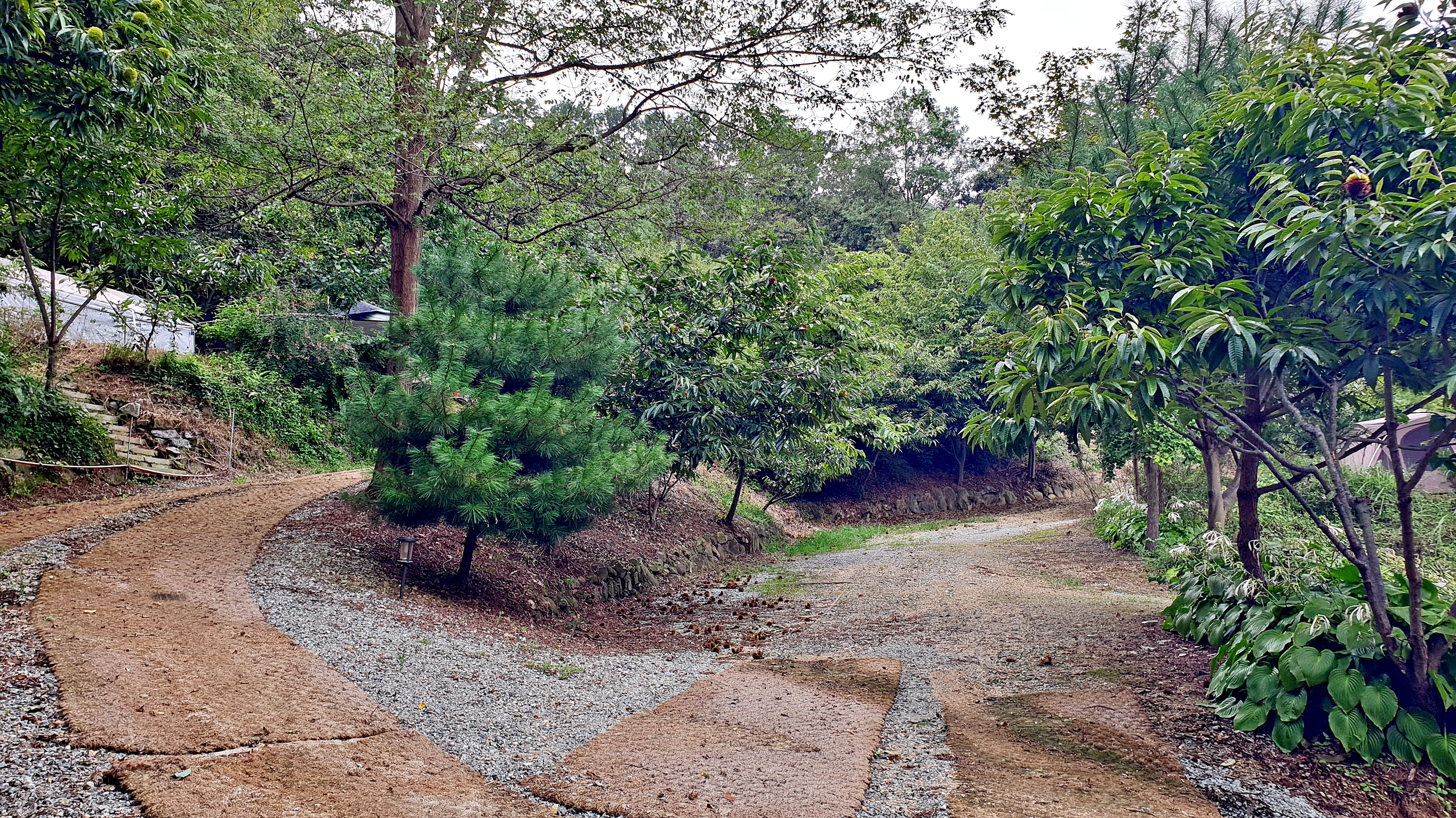 일월관광농원 캠핑장 이미지