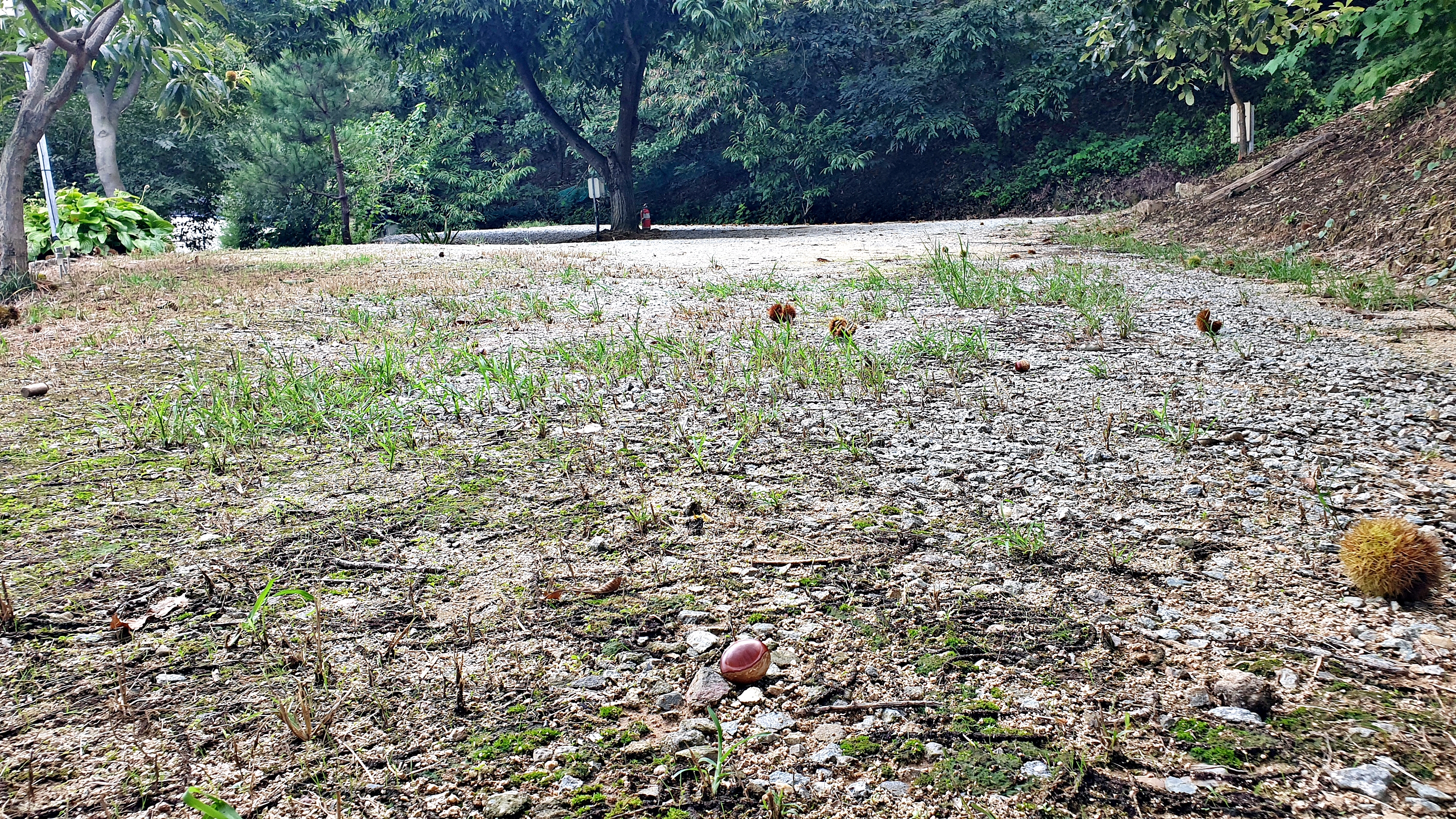 일월관광농원 캠핑장 이미지