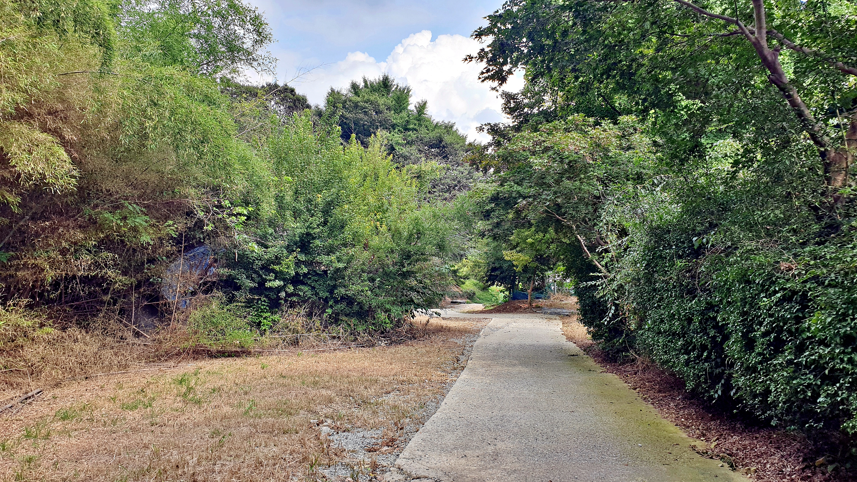 일월관광농원 캠핑장 이미지