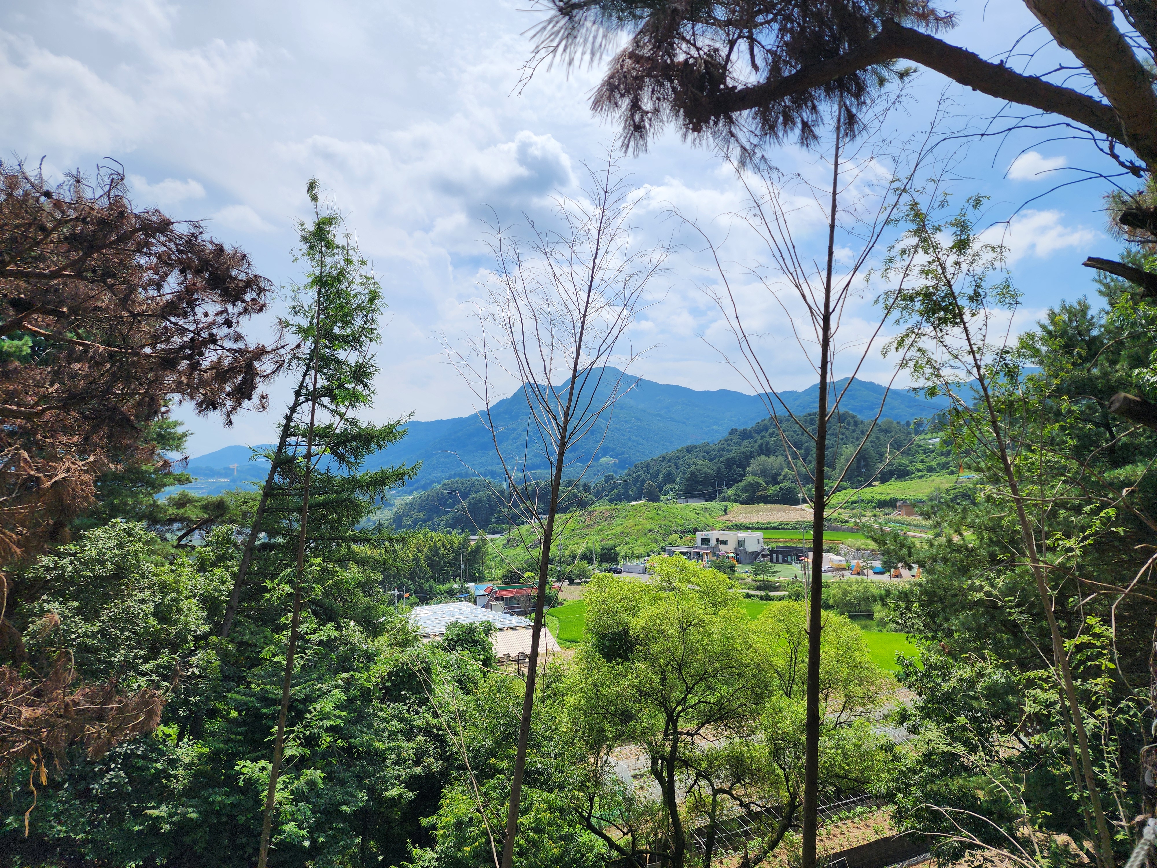 선택적고립캠핑장 이미지