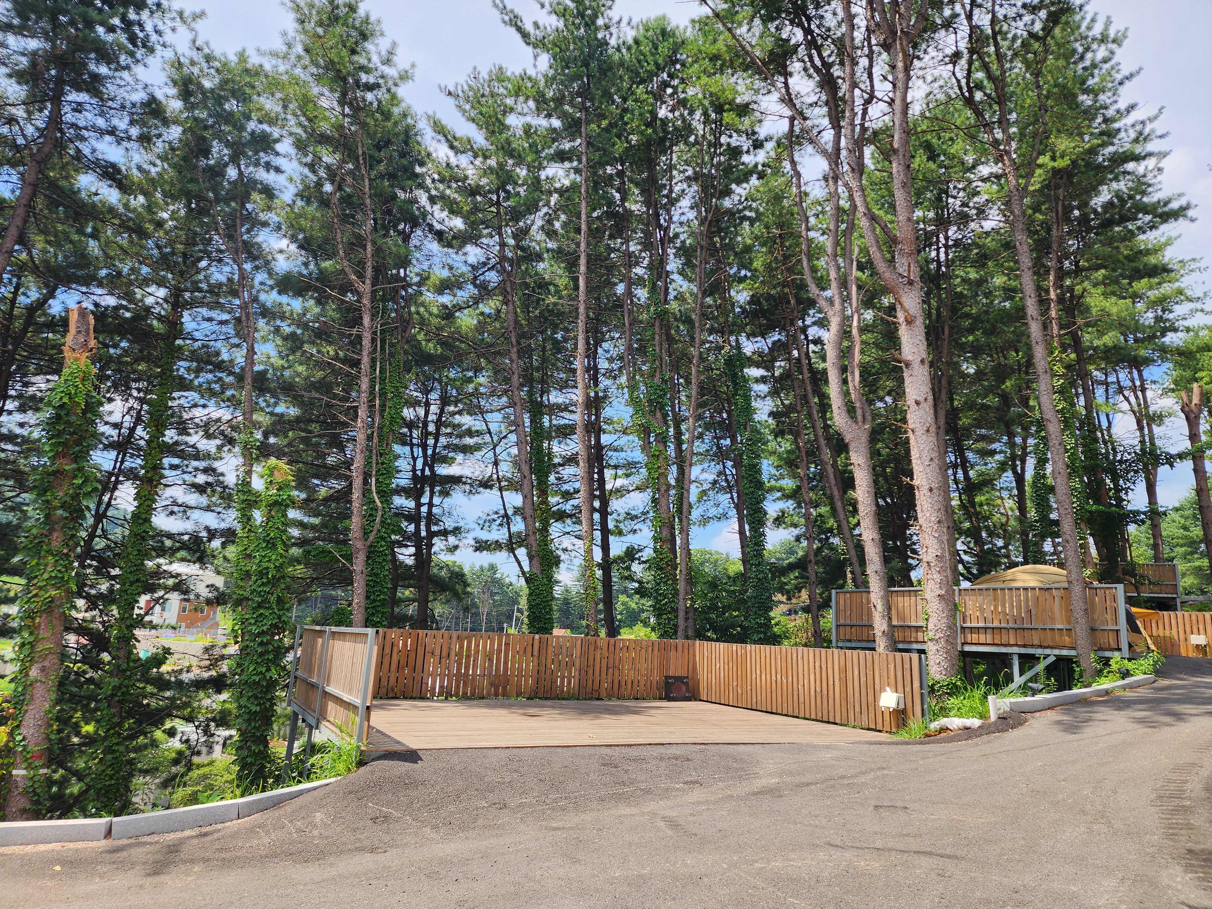 선택적고립캠핑장 이미지