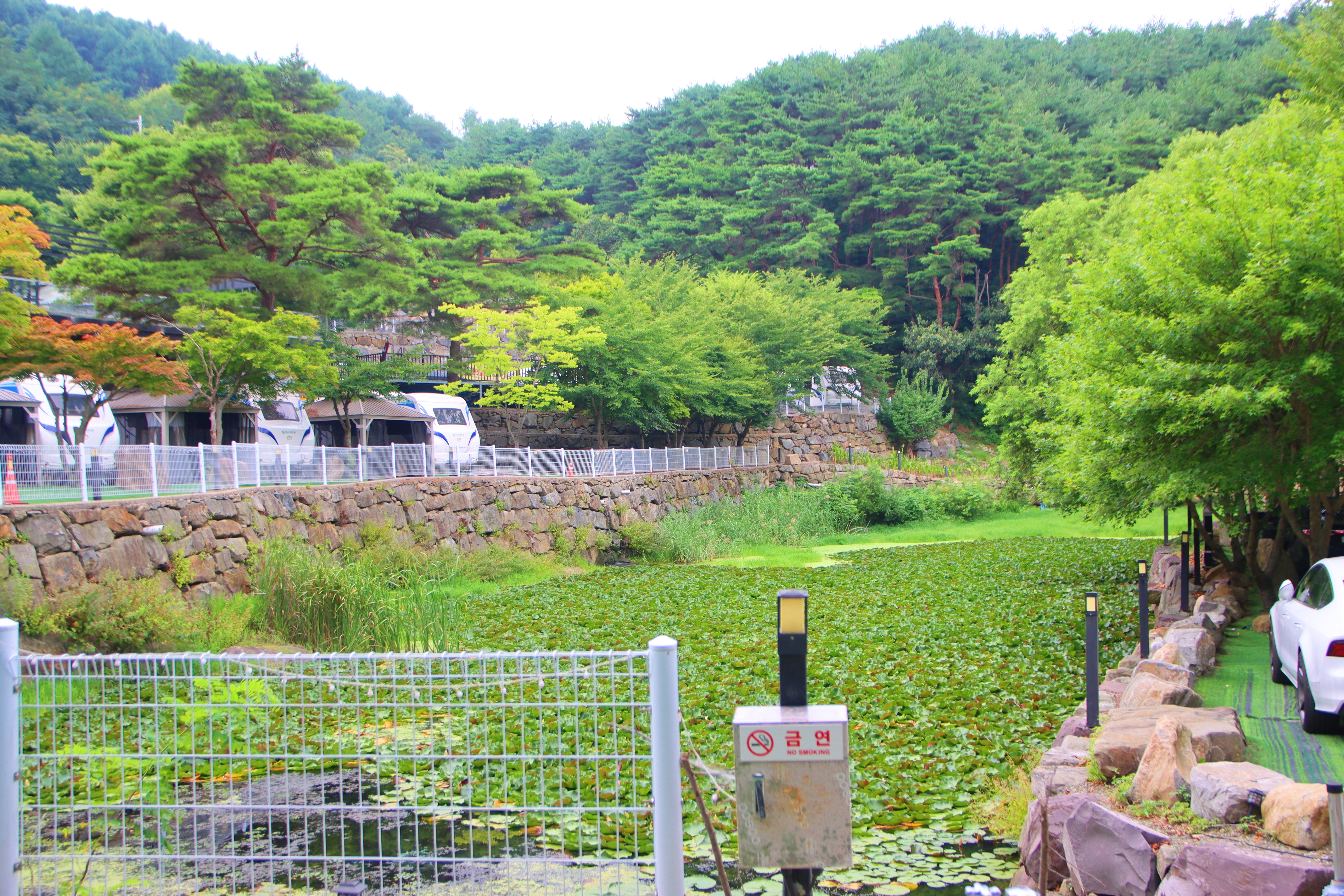 80포레스트카라반캠프 19번째 이미지