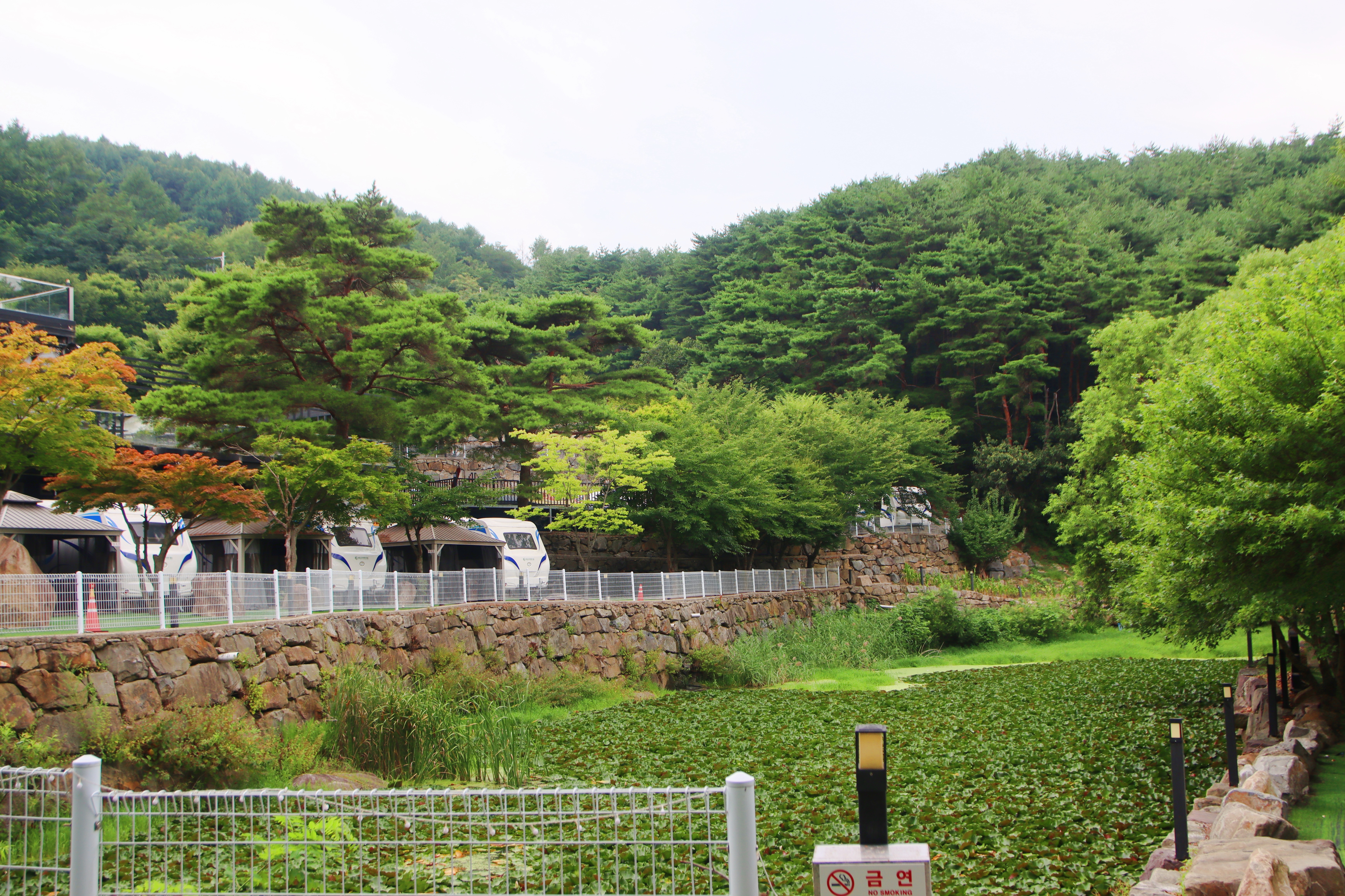 80포레스트카라반캠프 18번째 이미지