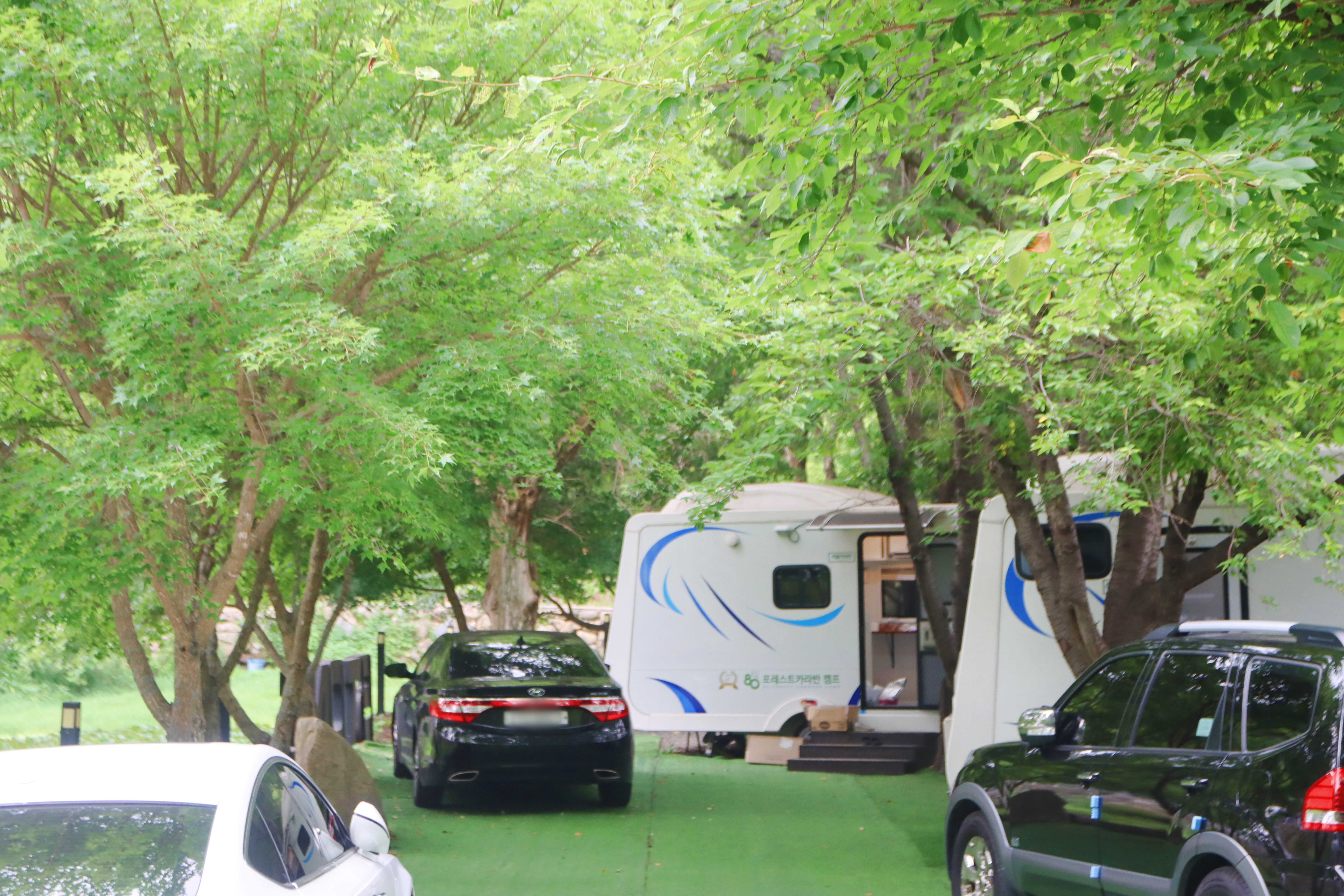 80포레스트카라반캠프 21번째 이미지