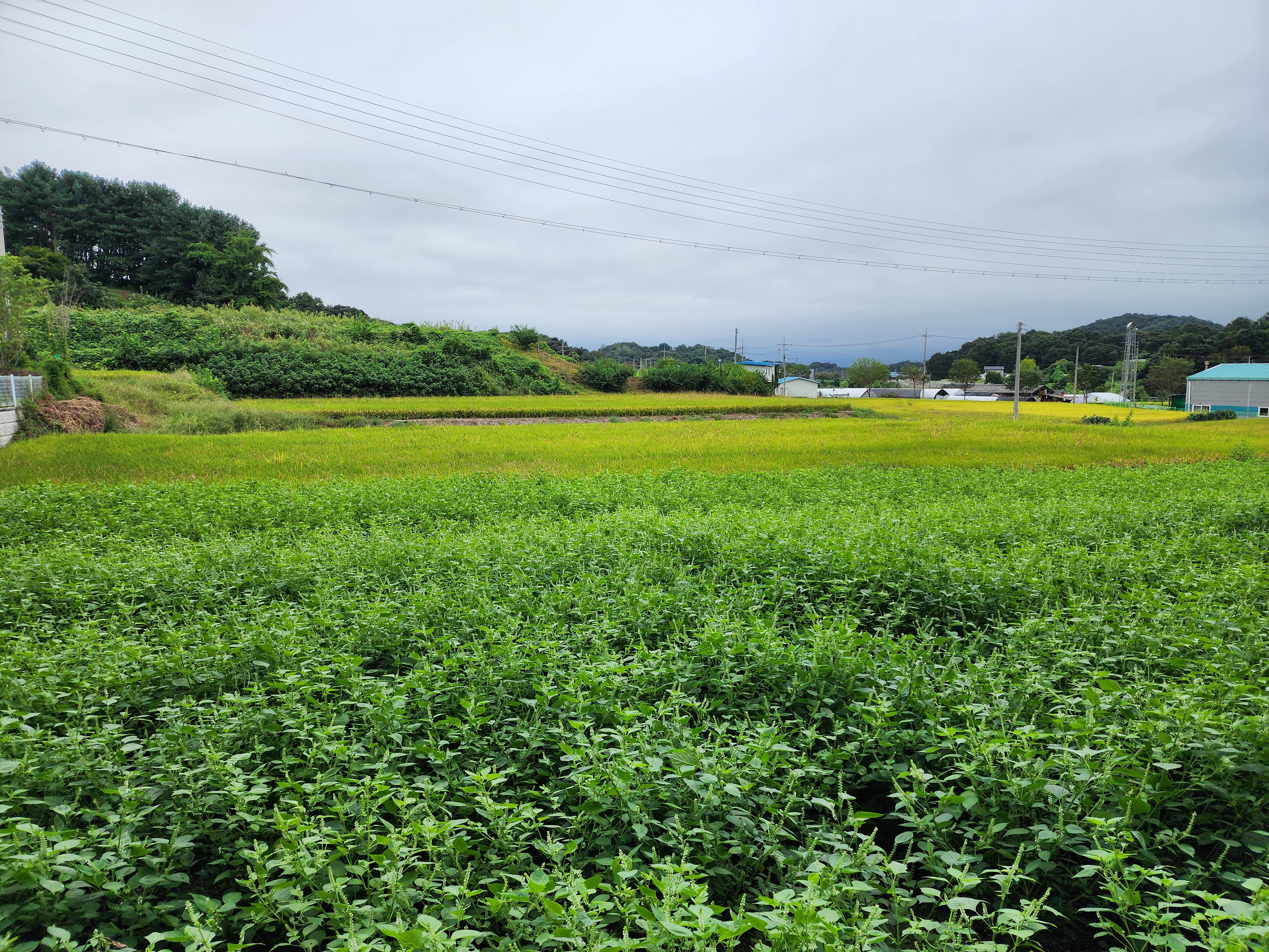그린바움캠핑장 이미지