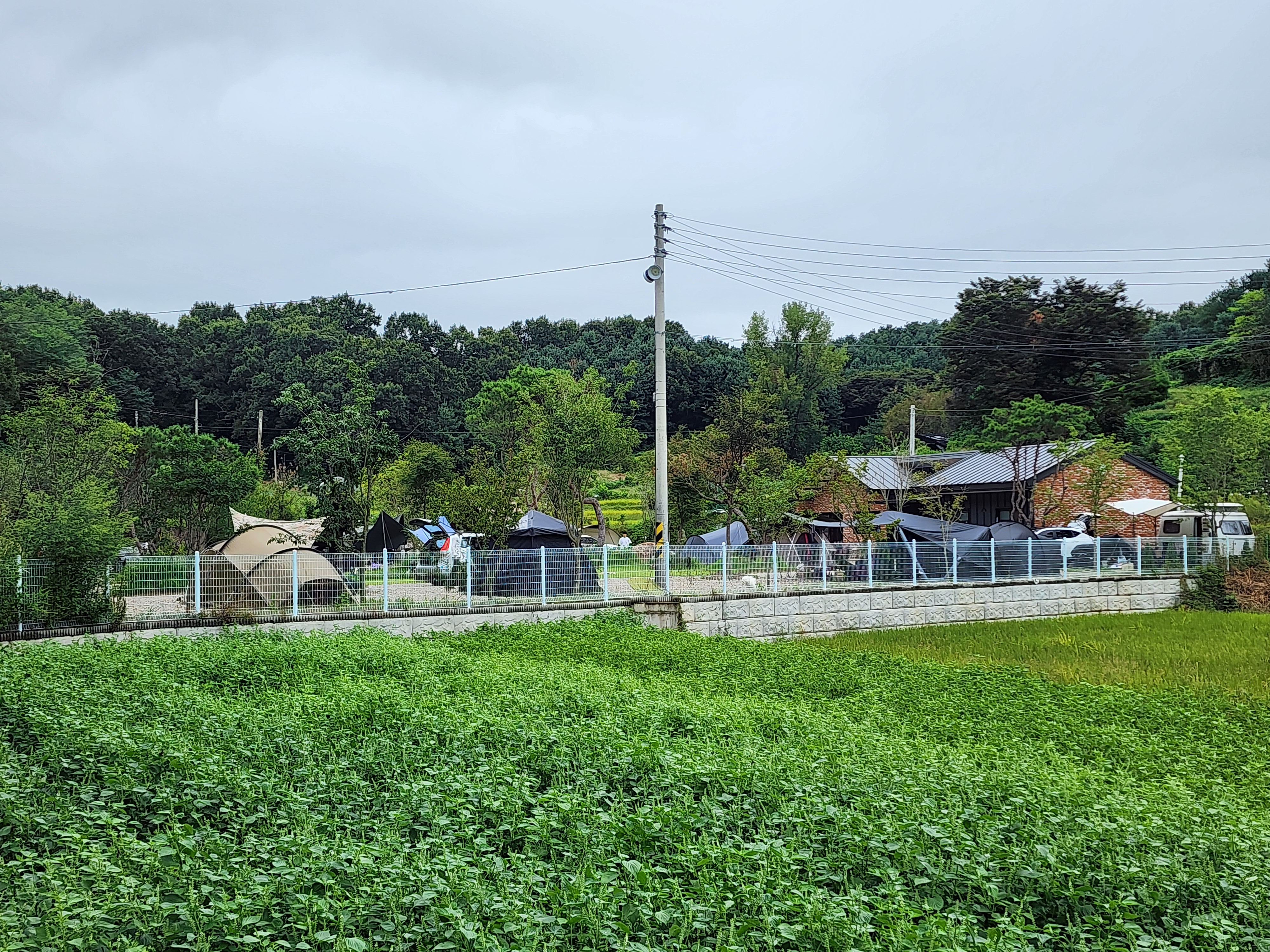 그린바움캠핑장 이미지