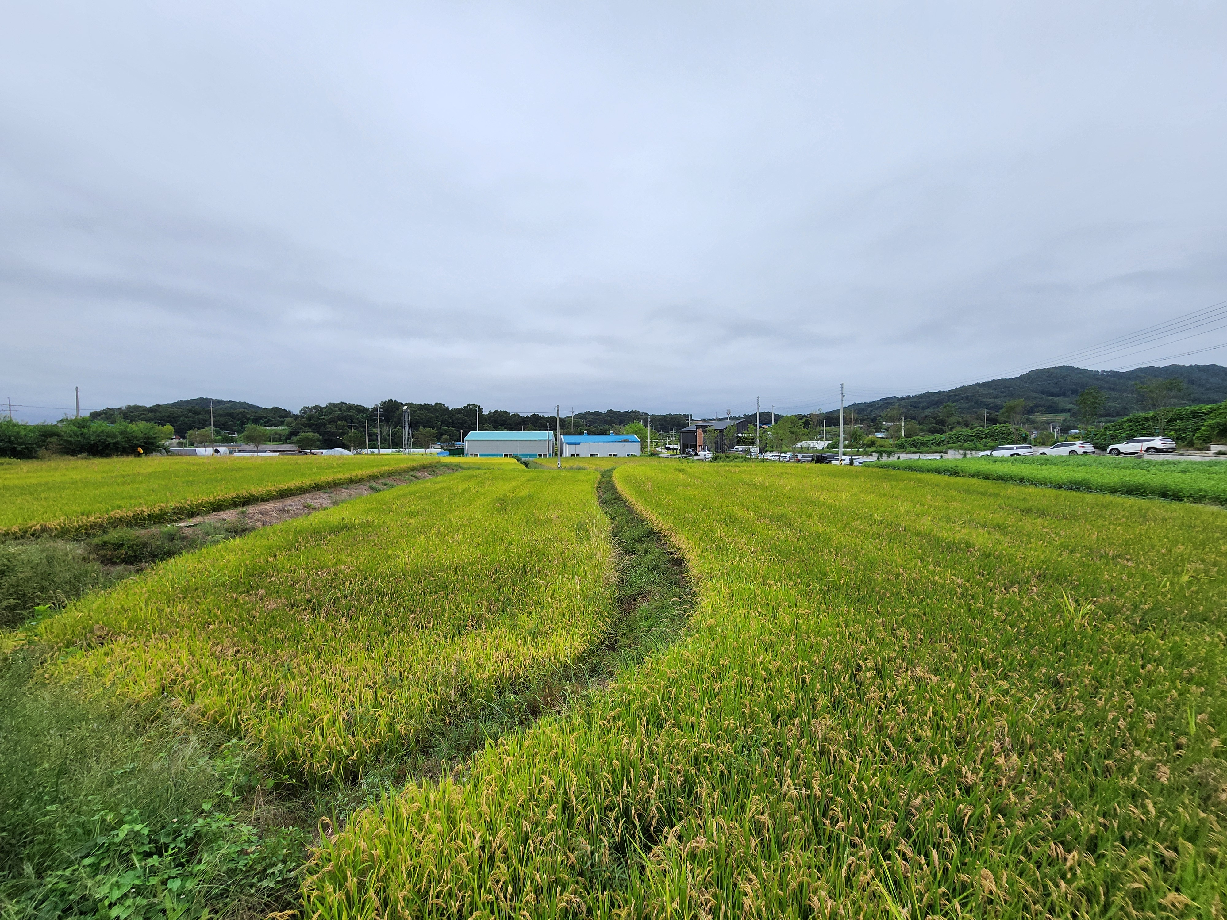 그린바움캠핑장 이미지