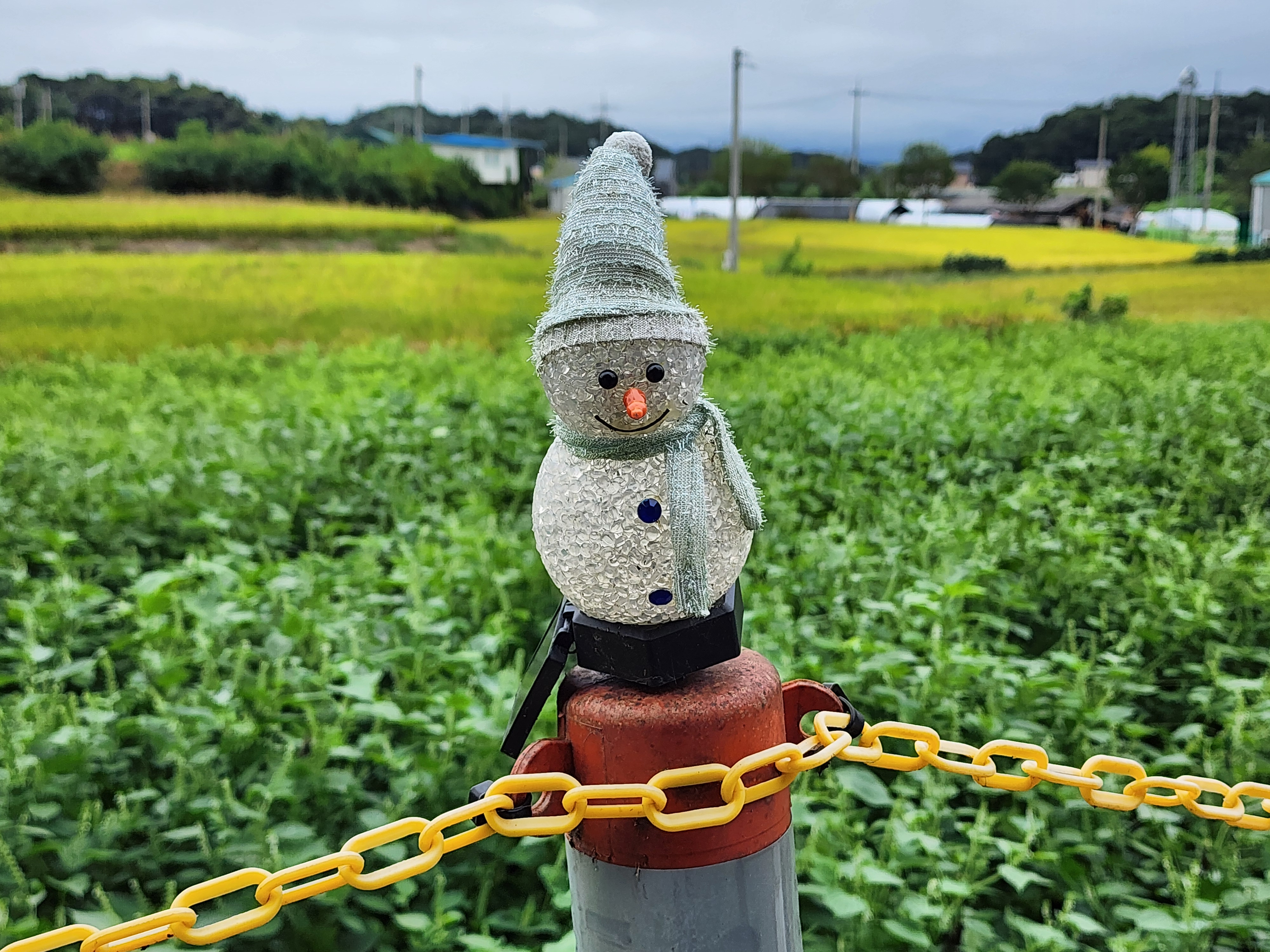 그린바움캠핑장 이미지