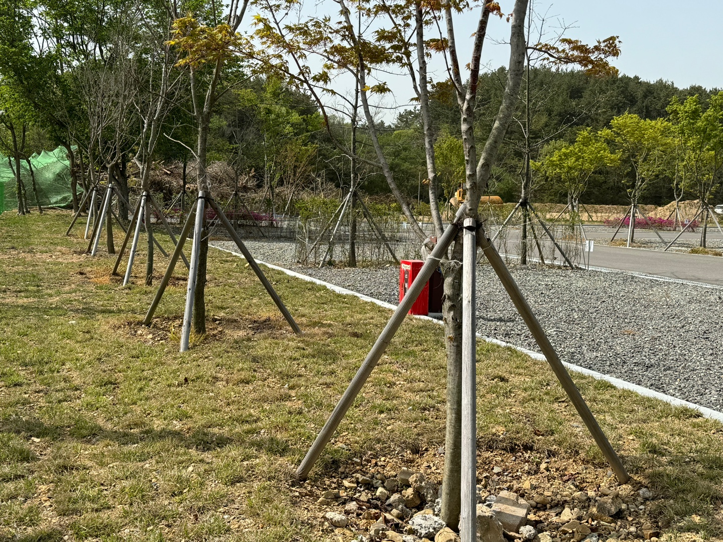 별천지 캠핑장 22번째 이미지