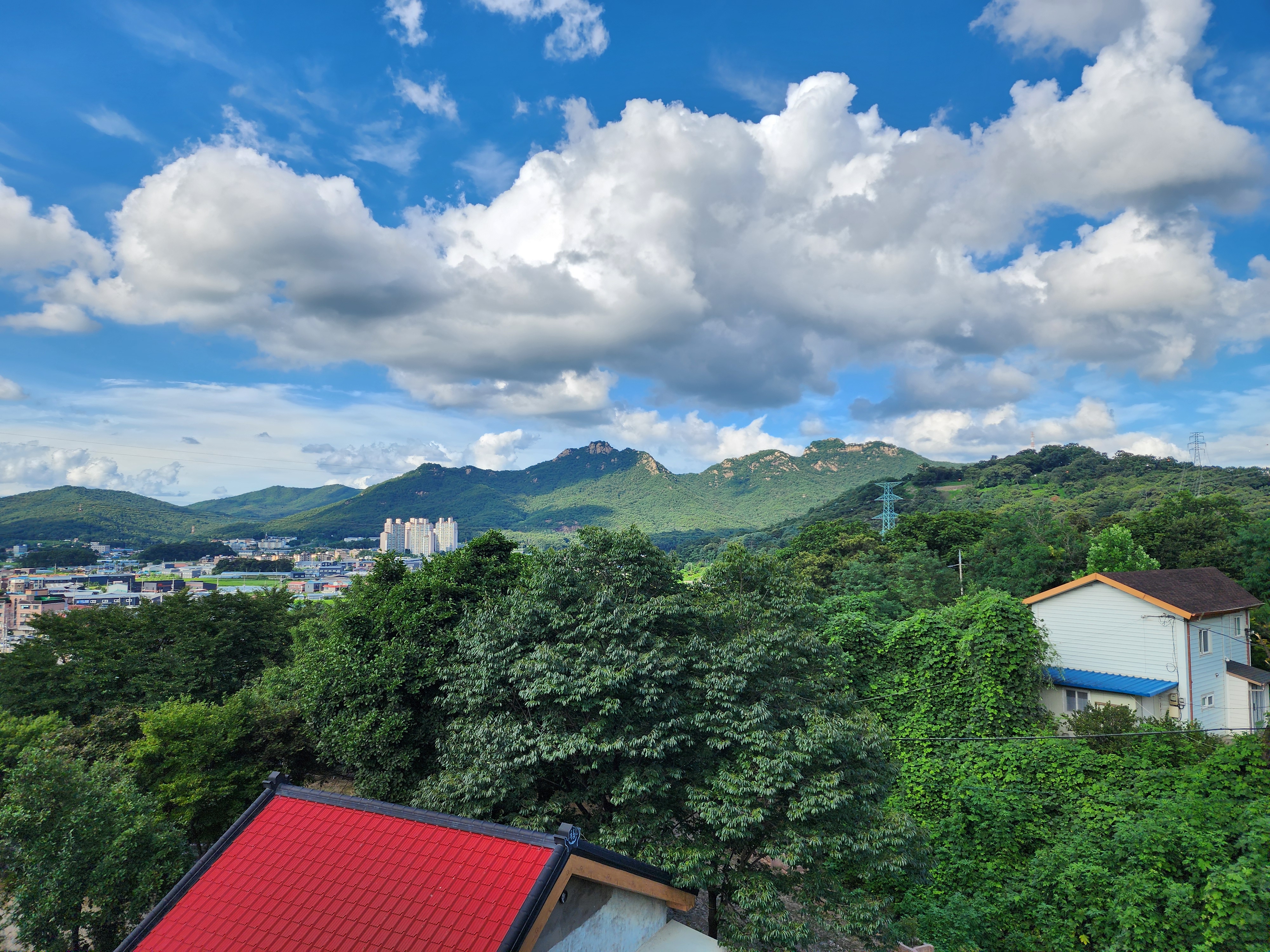 봄이오는 캠프 이미지