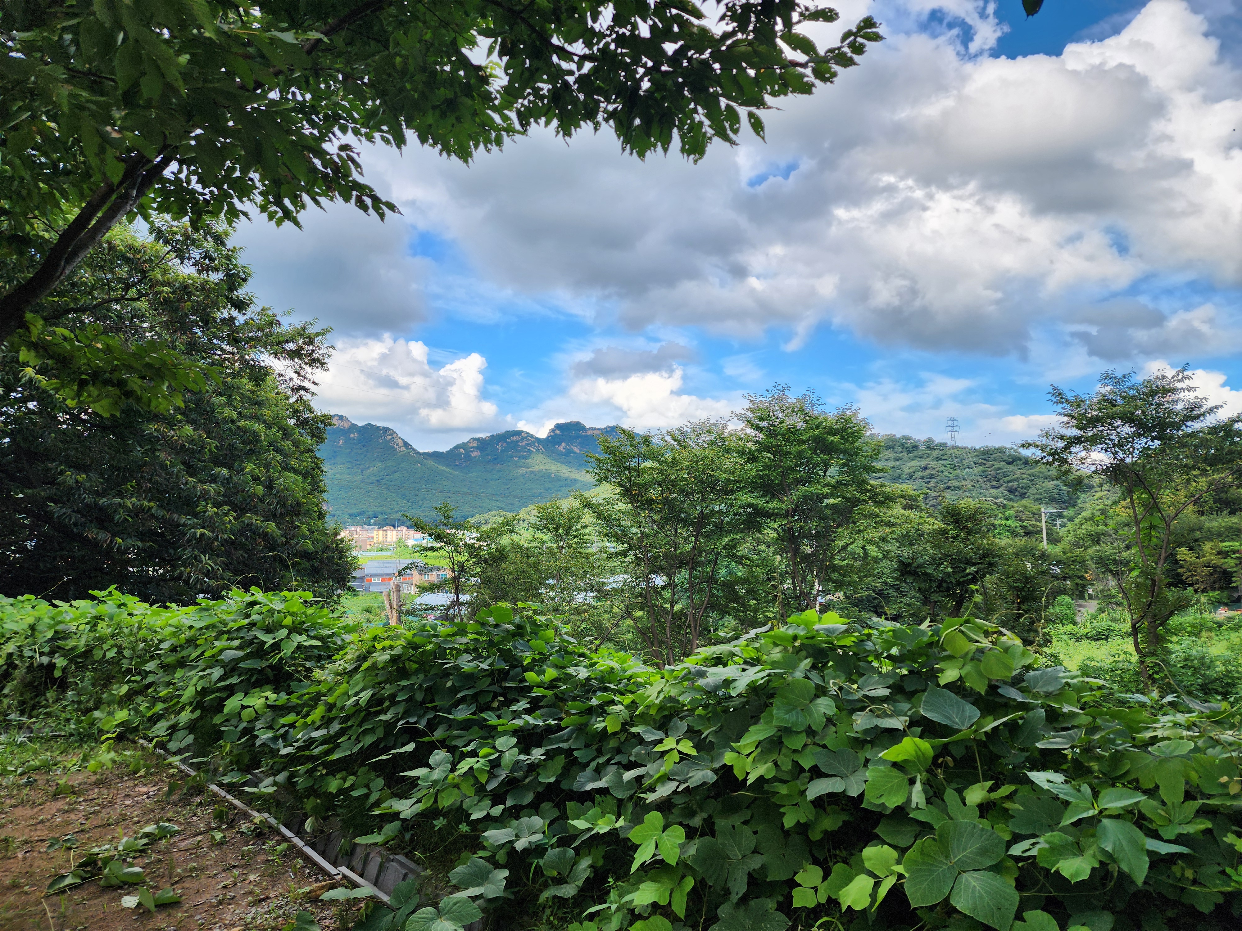 봄이오는 캠프 이미지