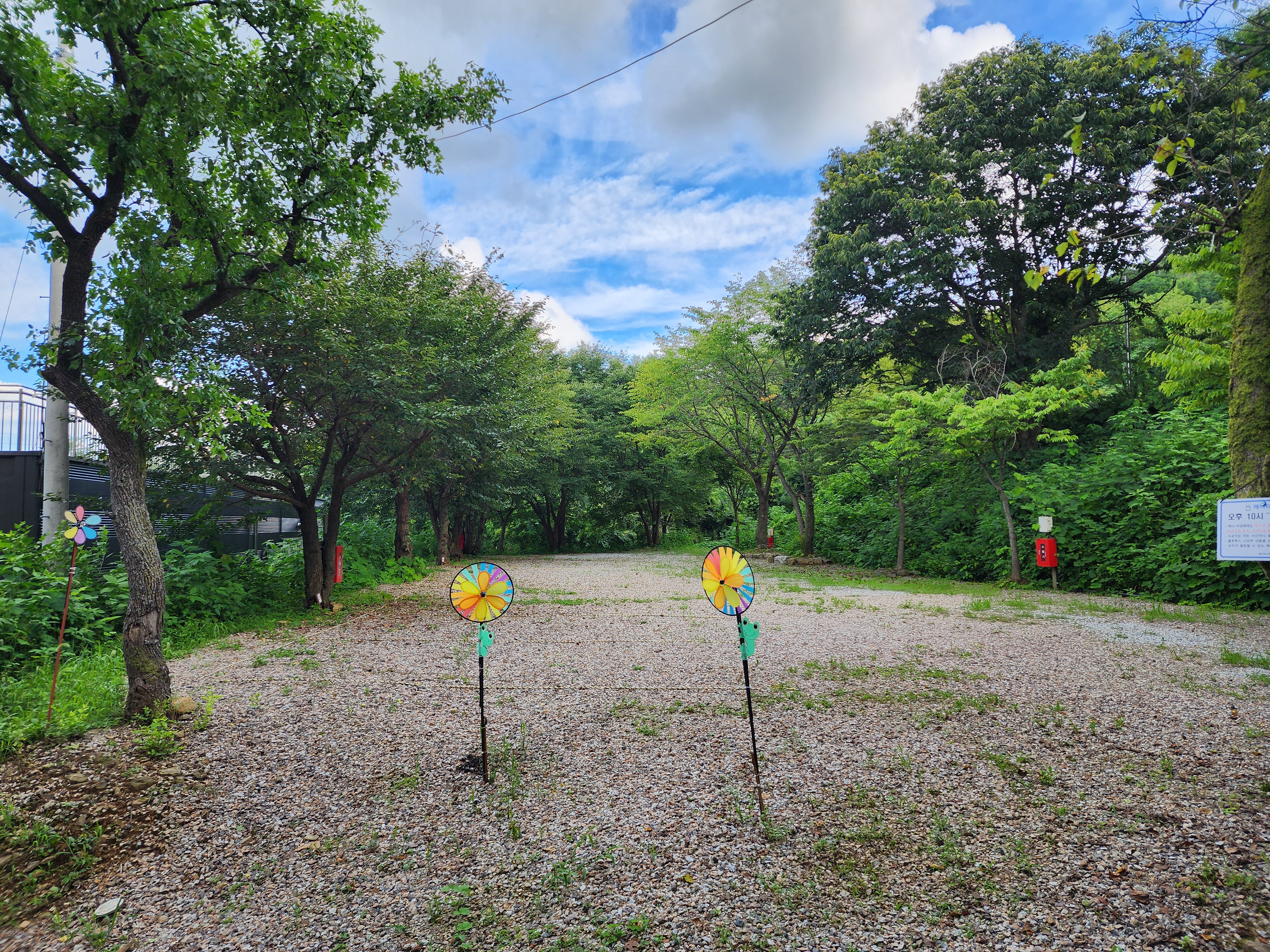 봄이오는 캠프 이미지