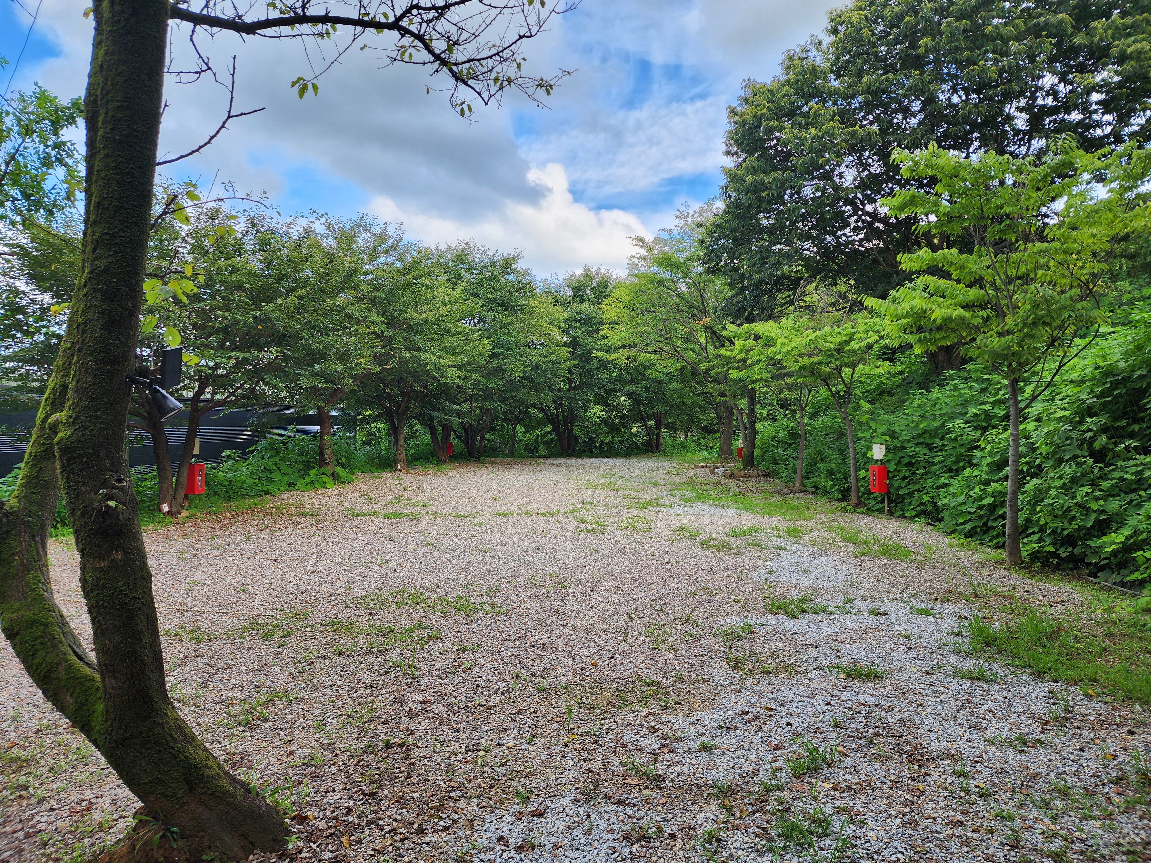 봄이오는 캠프 이미지