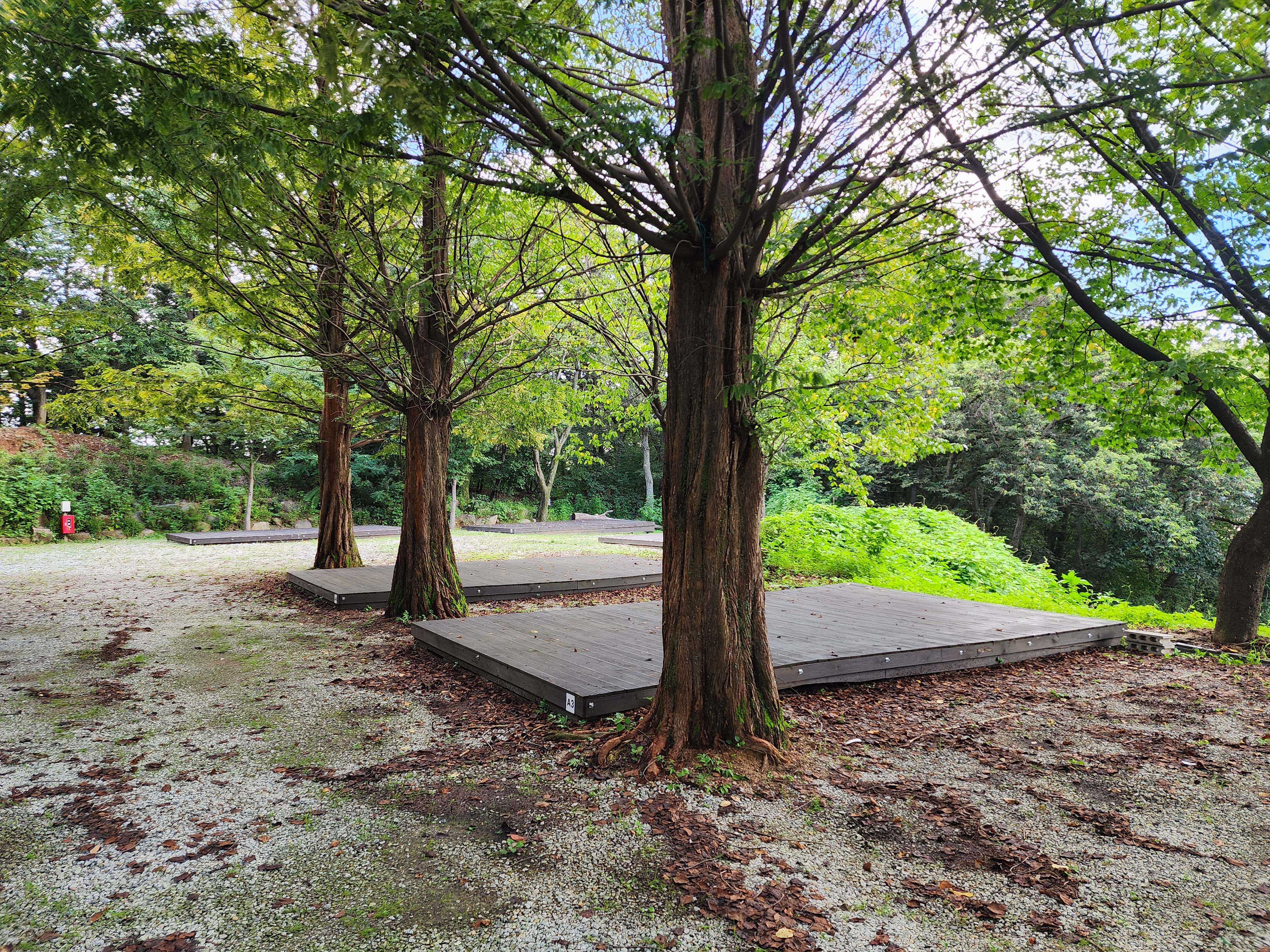 봄이오는 캠프 이미지