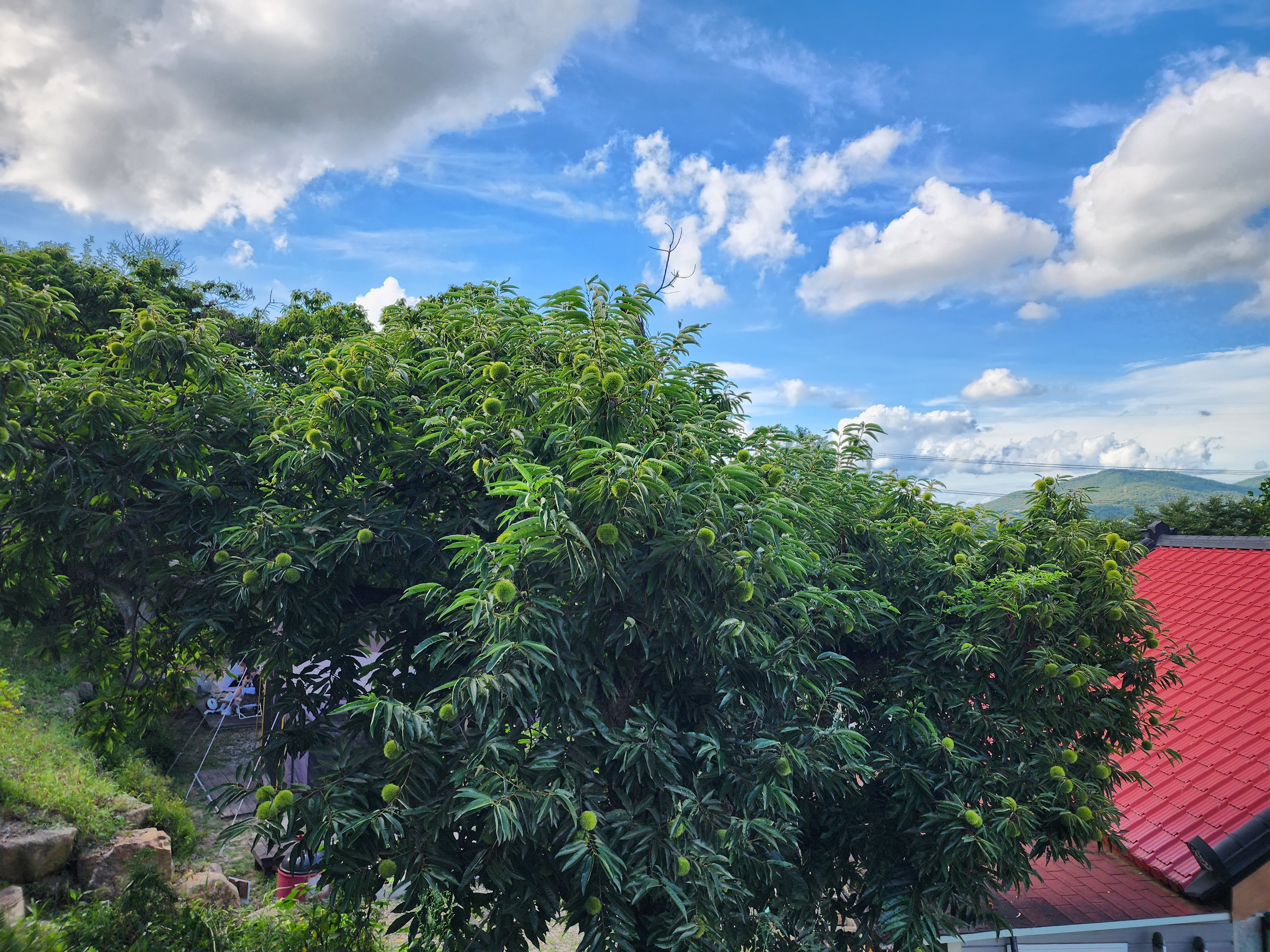 봄이오는 캠프 이미지