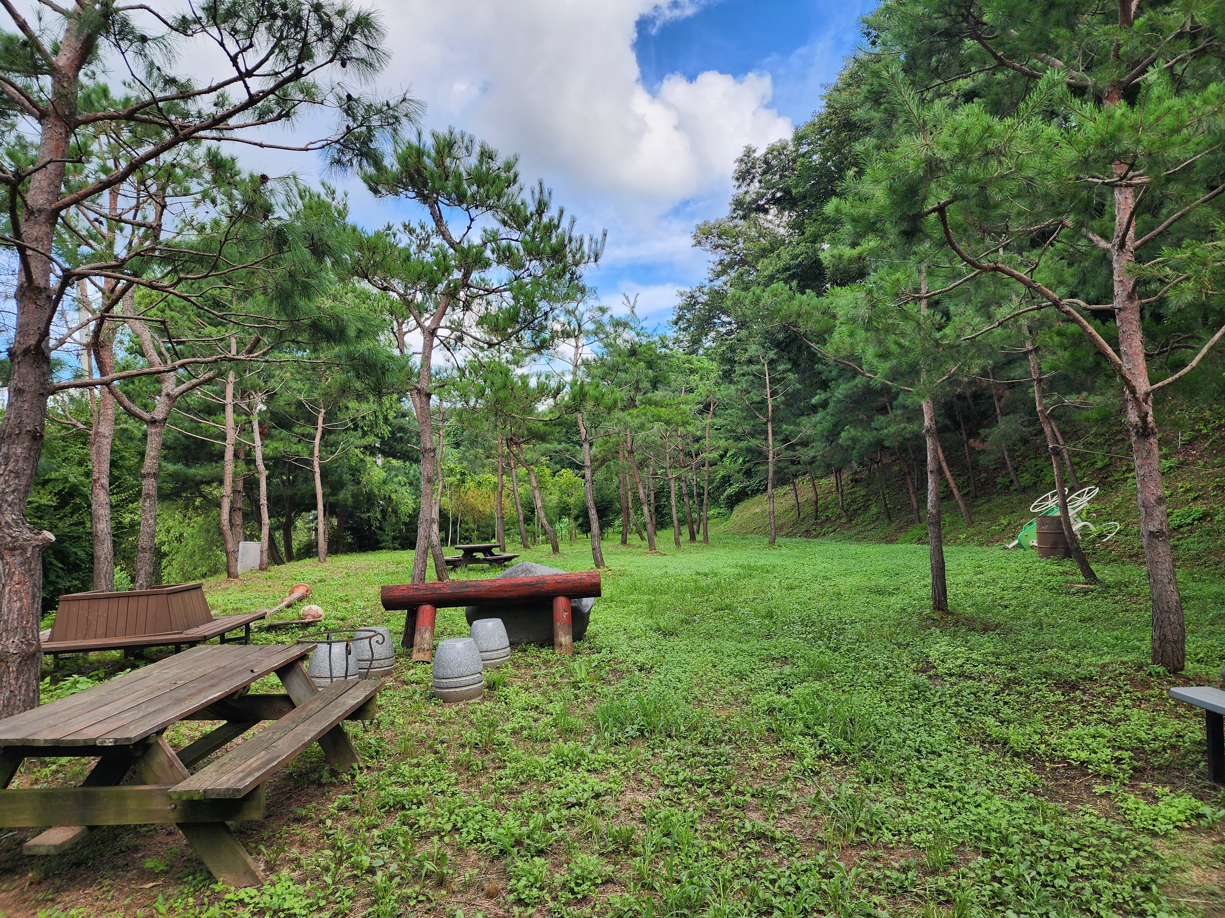 봄이오는 캠프 이미지